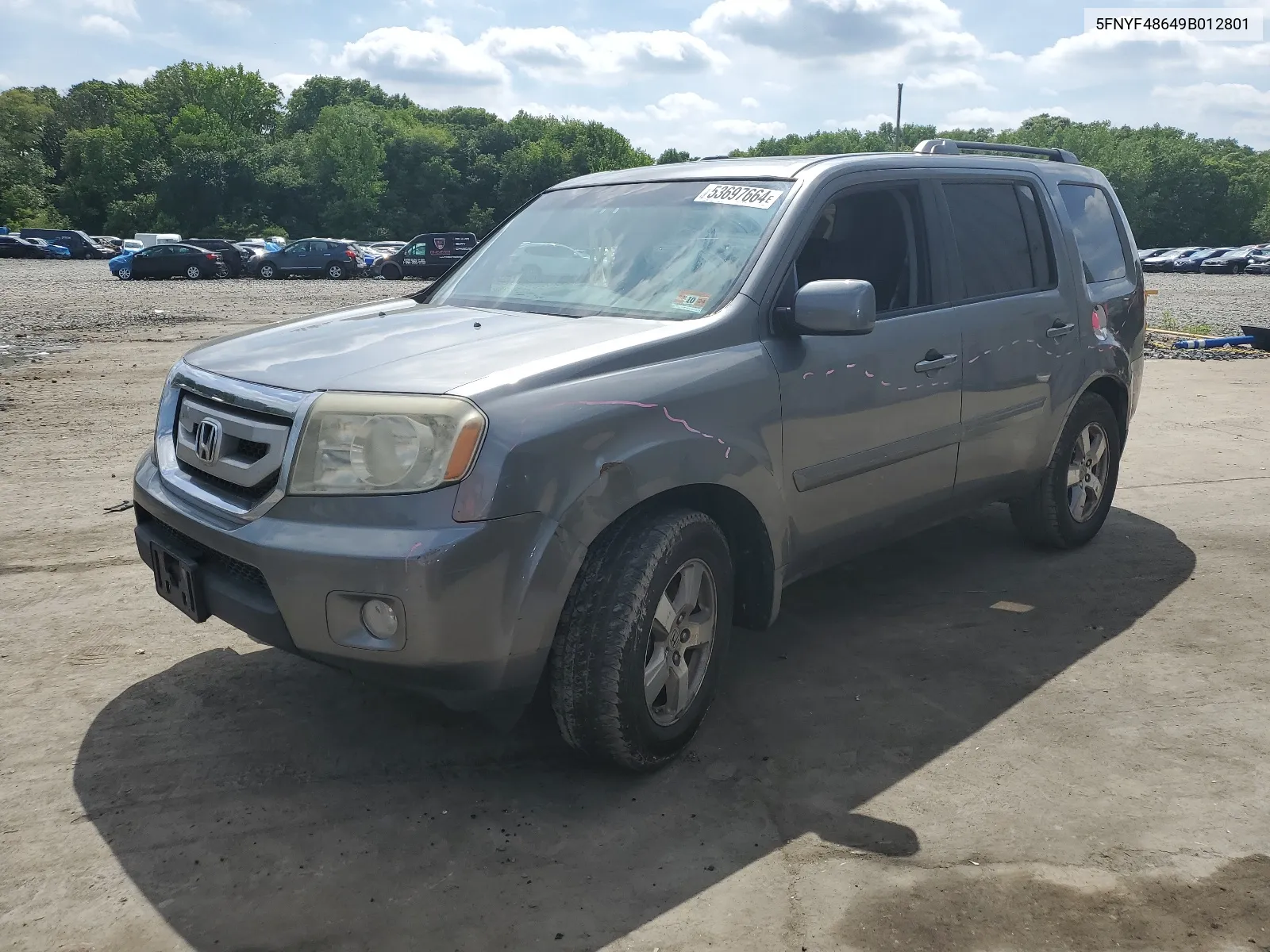 2009 Honda Pilot Exl VIN: 5FNYF48649B012801 Lot: 53697664