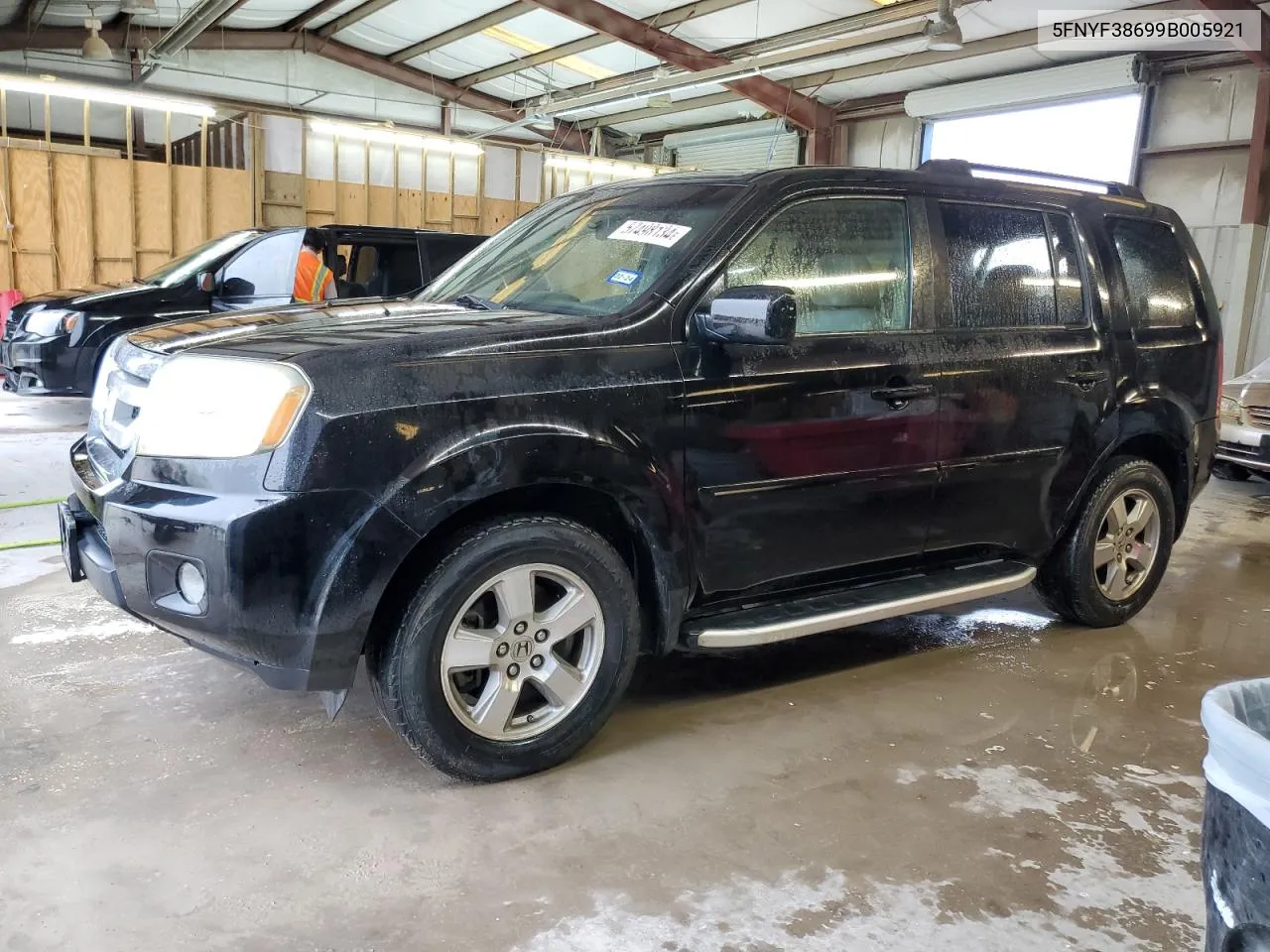 2009 Honda Pilot Exl VIN: 5FNYF38699B005921 Lot: 57498134