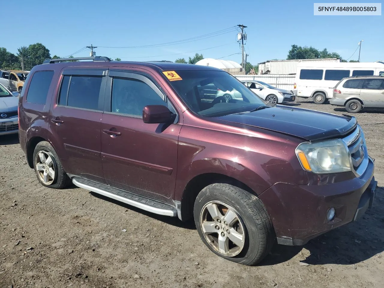 2009 Honda Pilot Ex VIN: 5FNYF48489B005803 Lot: 61292664