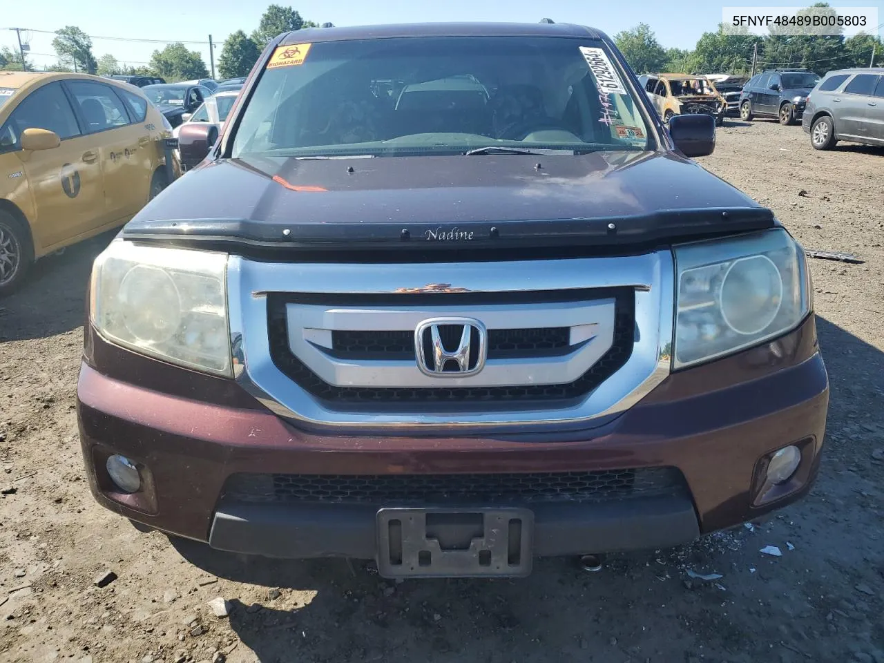 2009 Honda Pilot Ex VIN: 5FNYF48489B005803 Lot: 61292664