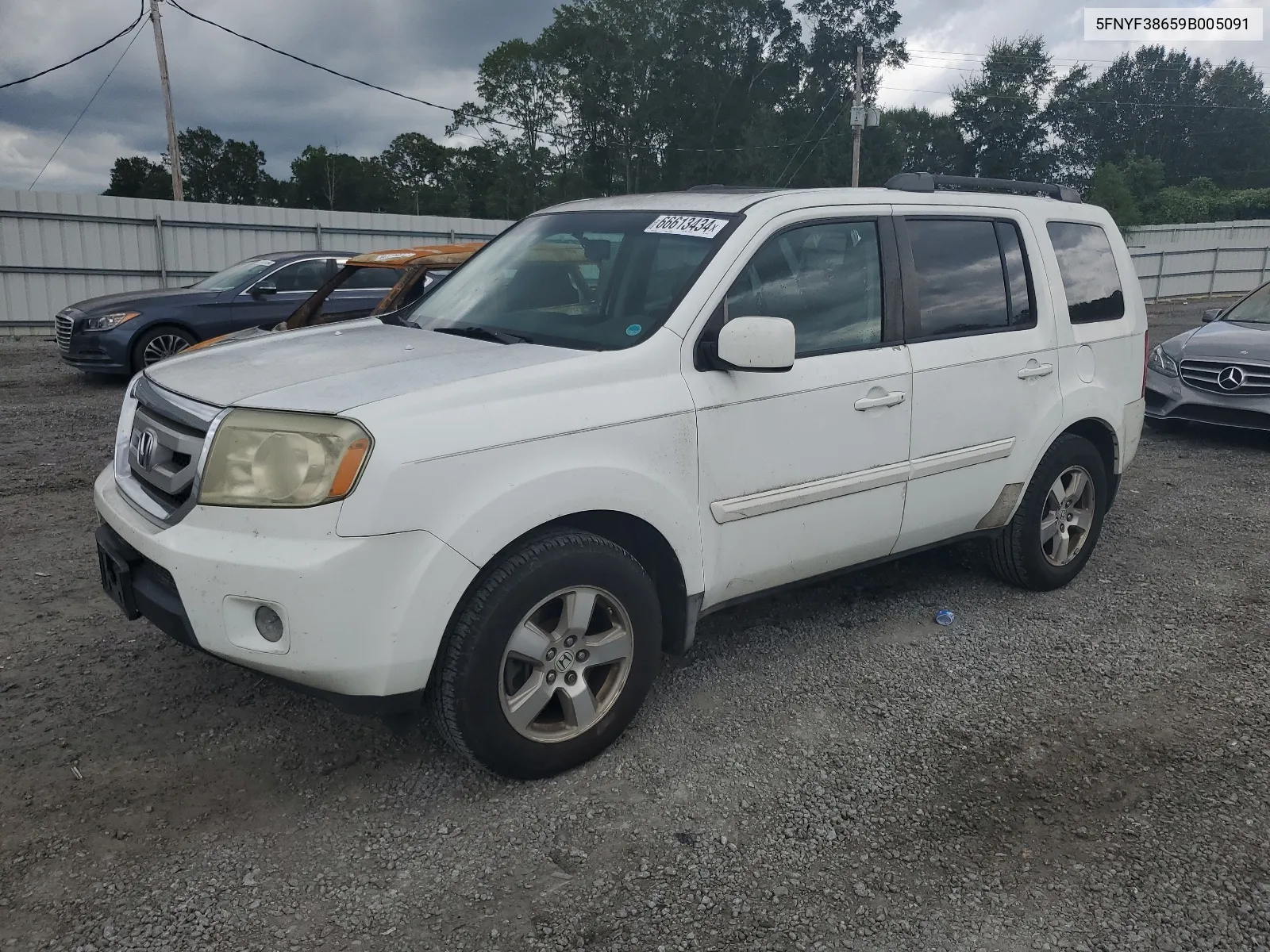 5FNYF38659B005091 2009 Honda Pilot Exl