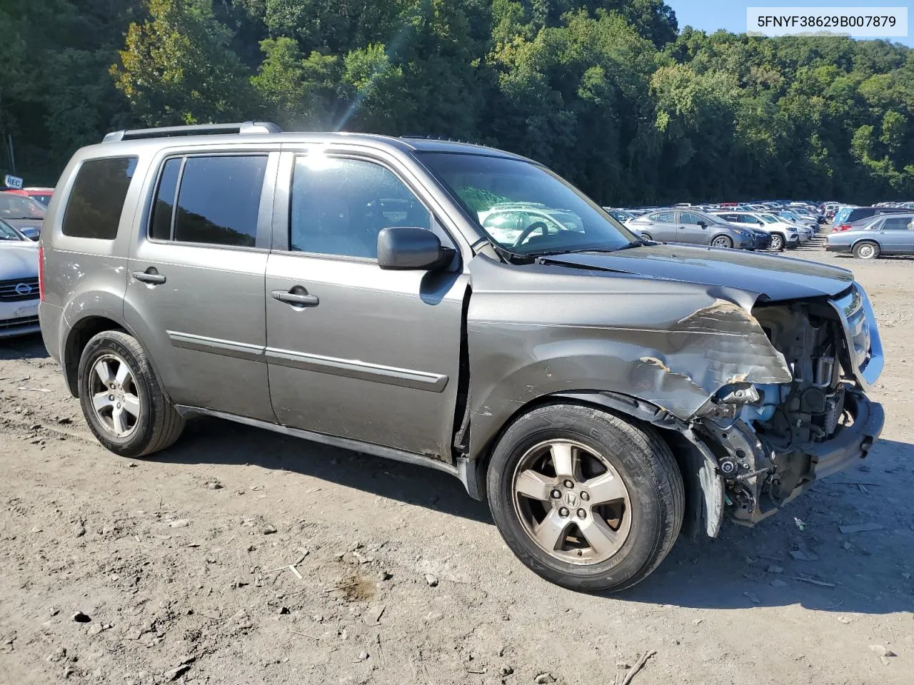 2009 Honda Pilot Exl VIN: 5FNYF38629B007879 Lot: 67710974