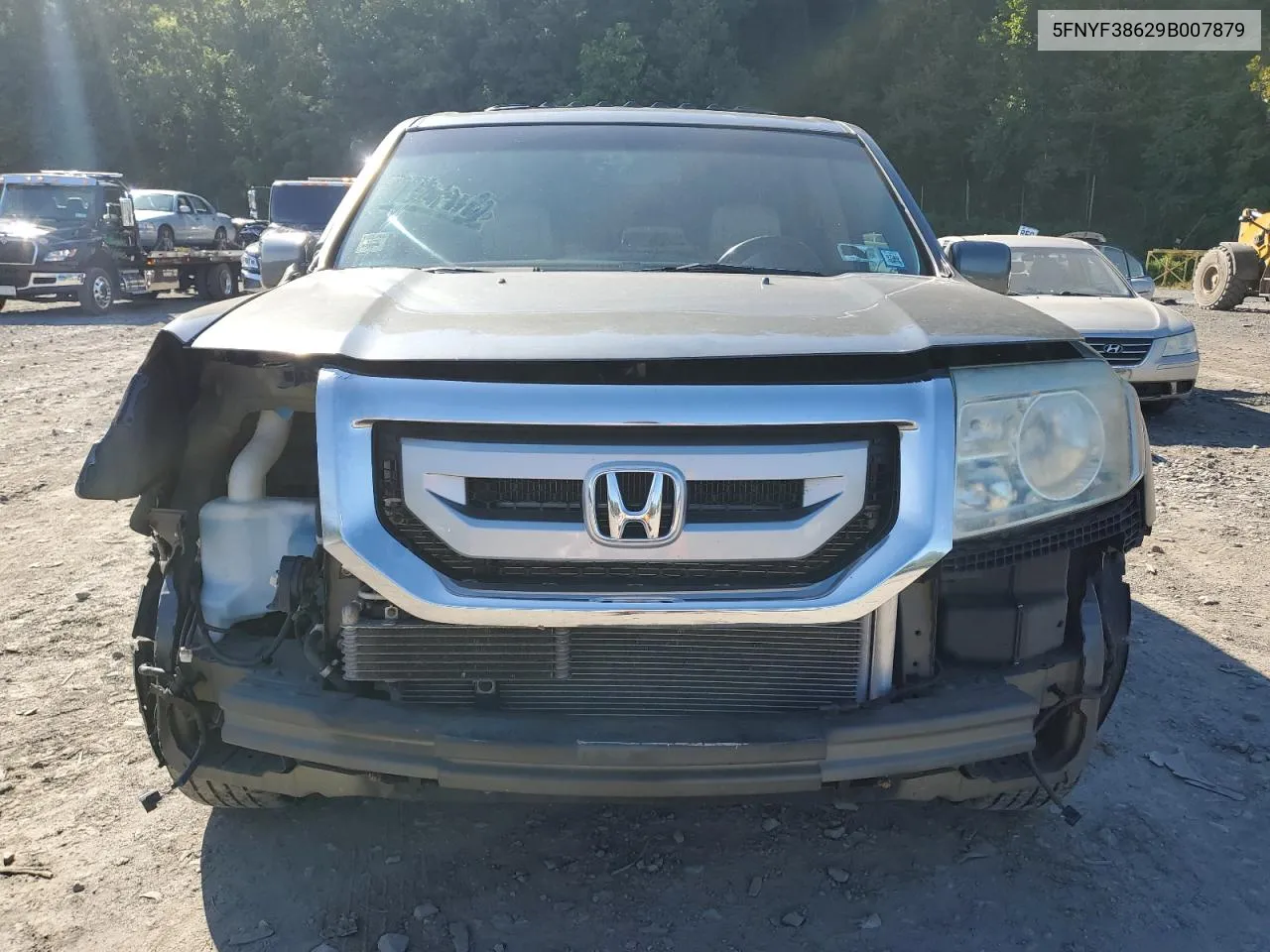 2009 Honda Pilot Exl VIN: 5FNYF38629B007879 Lot: 67710974