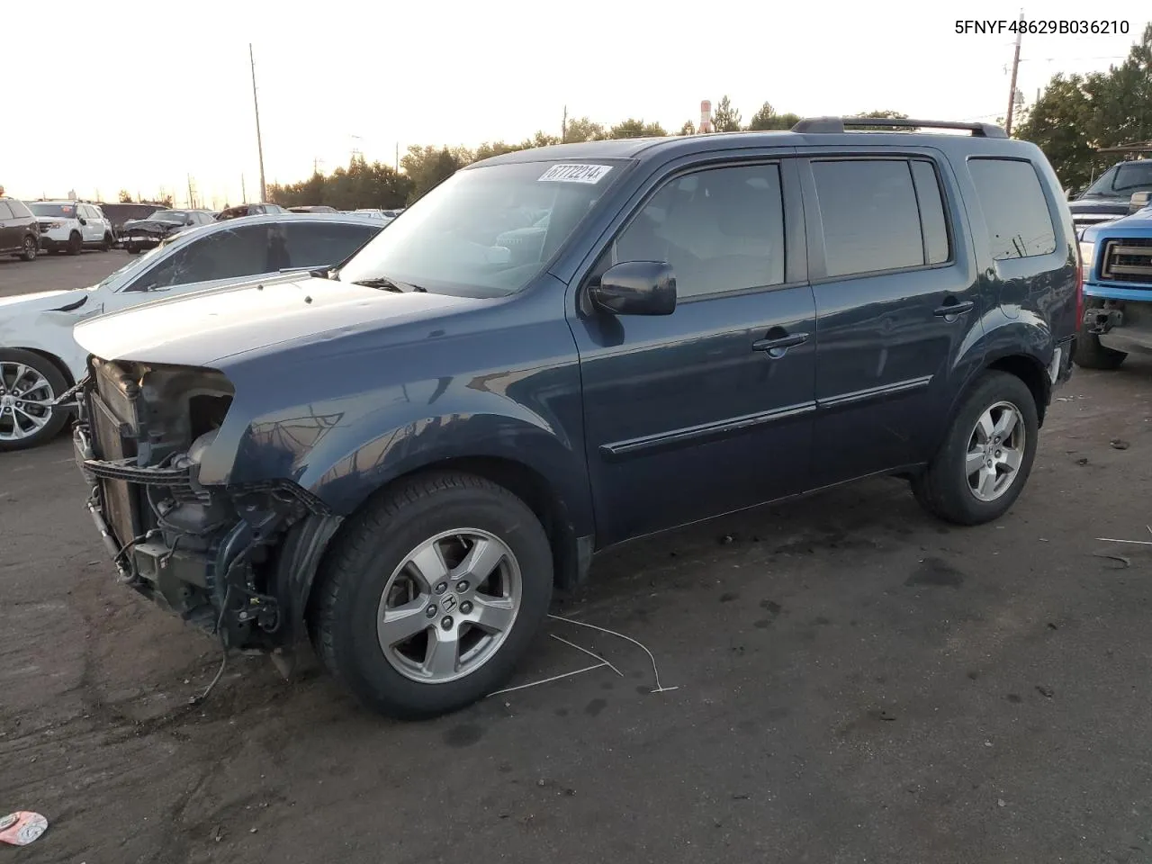 2009 Honda Pilot Exl VIN: 5FNYF48629B036210 Lot: 67772214