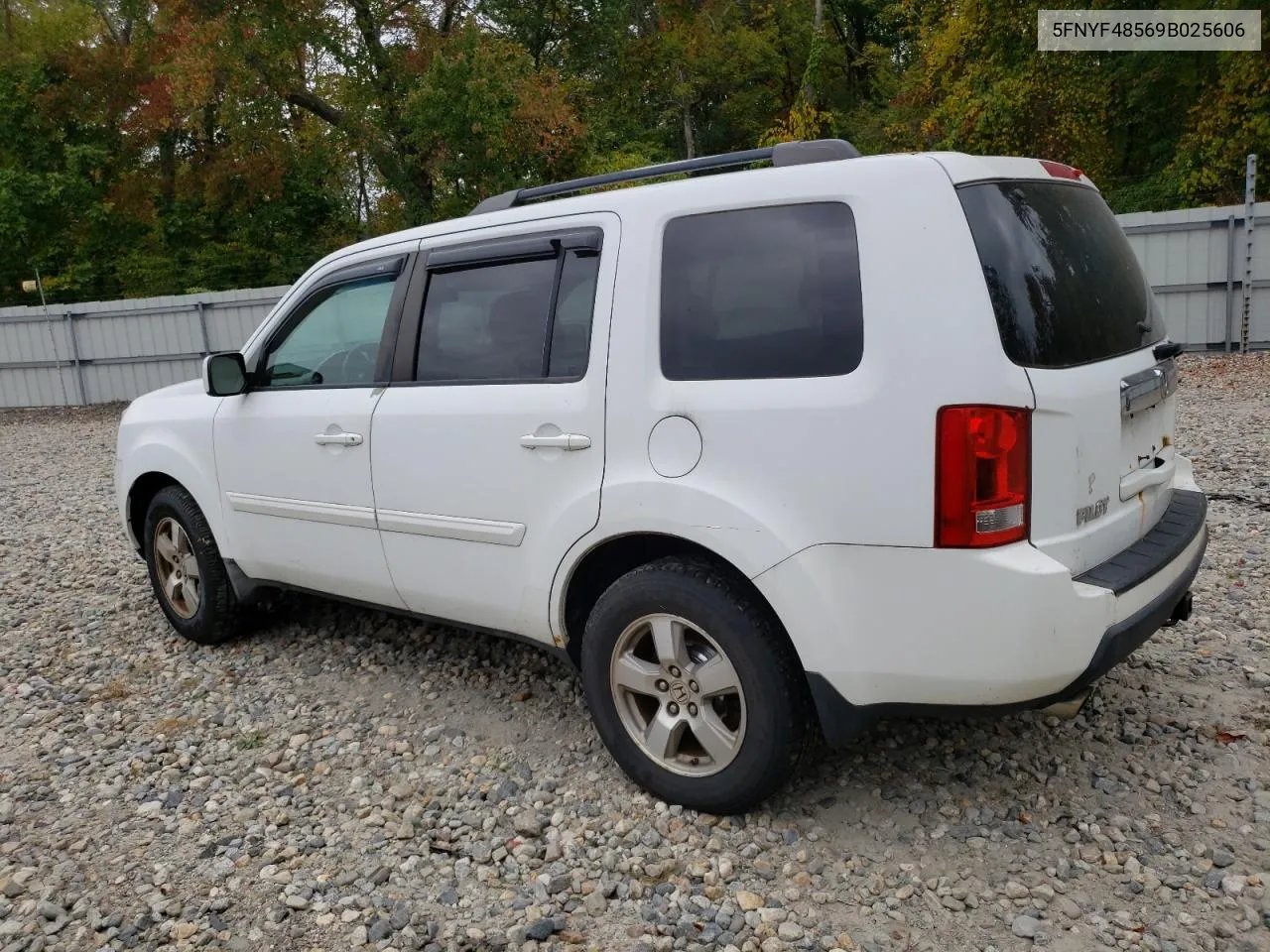 2009 Honda Pilot Exl VIN: 5FNYF48569B025606 Lot: 72780134