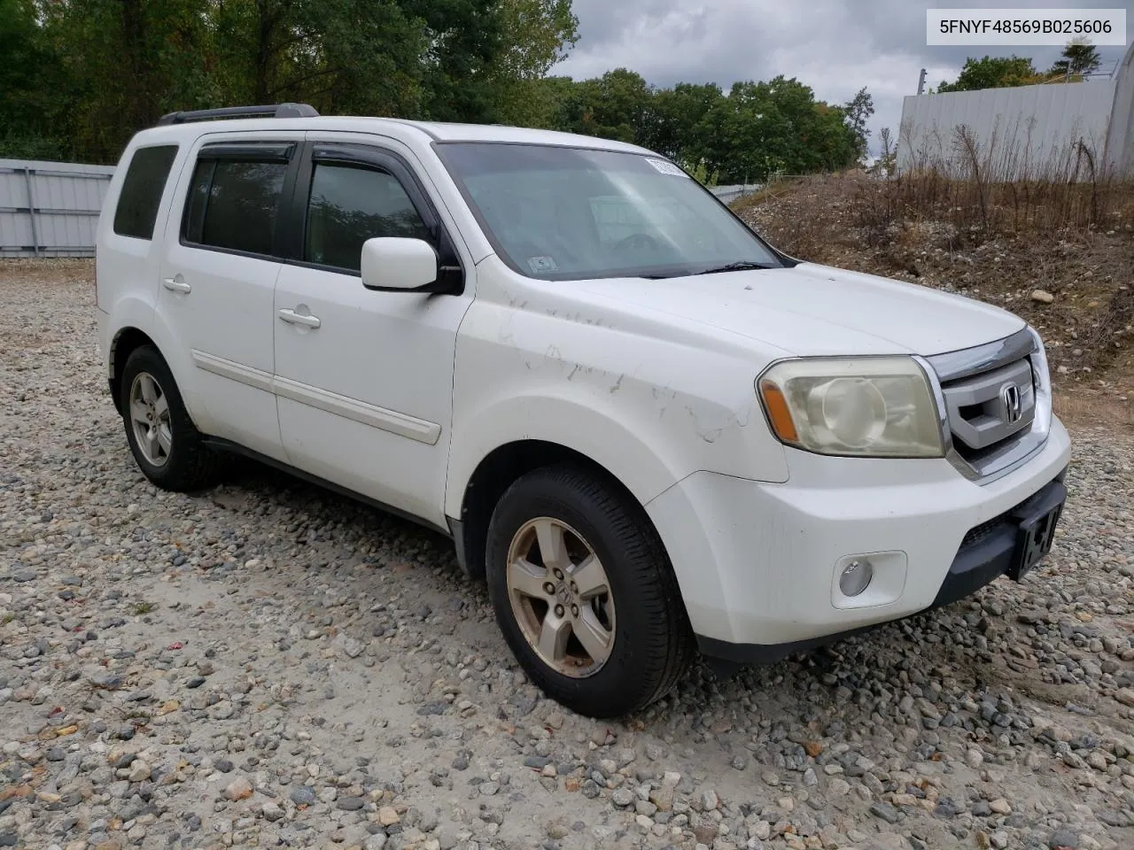 2009 Honda Pilot Exl VIN: 5FNYF48569B025606 Lot: 72780134