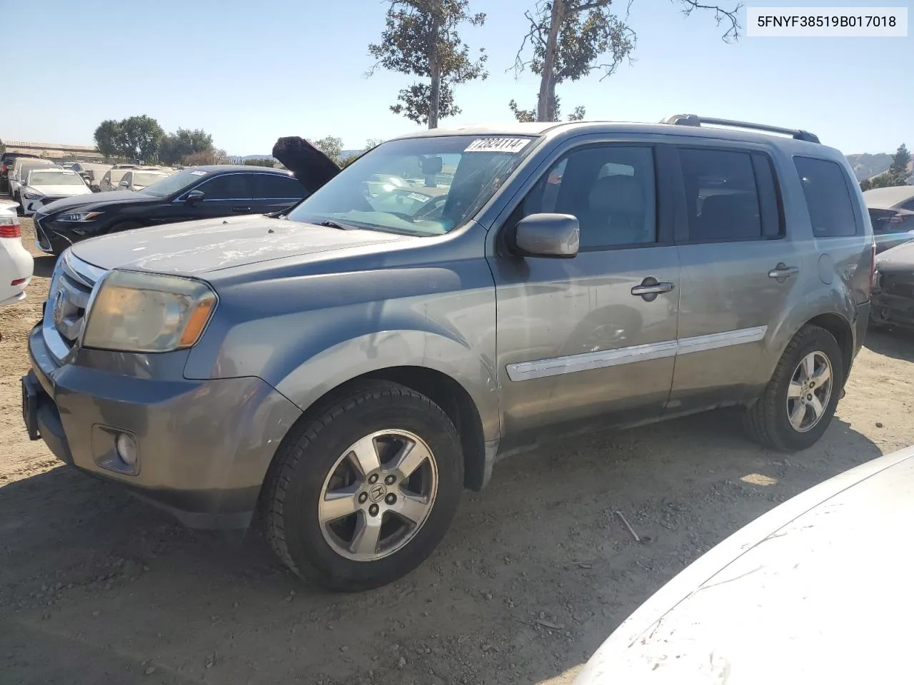 2009 Honda Pilot Exl VIN: 5FNYF38519B017018 Lot: 72824114