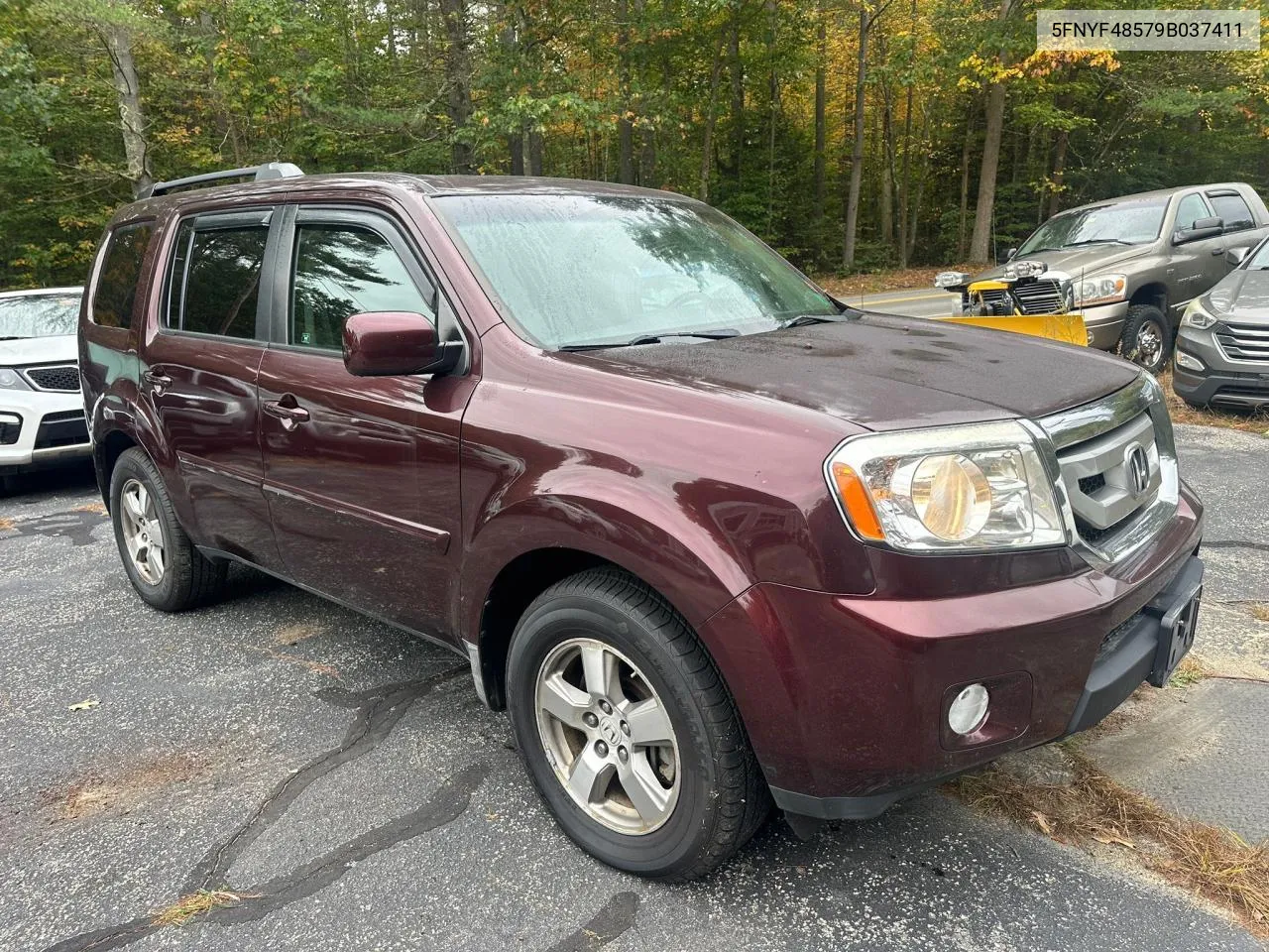 2009 Honda Pilot Exl VIN: 5FNYF48579B037411 Lot: 74575734