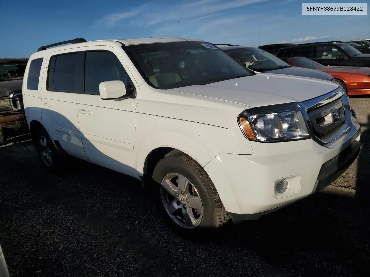 2009 Honda Pilot Exl VIN: 5FNYF38679B028422 Lot: 74850624