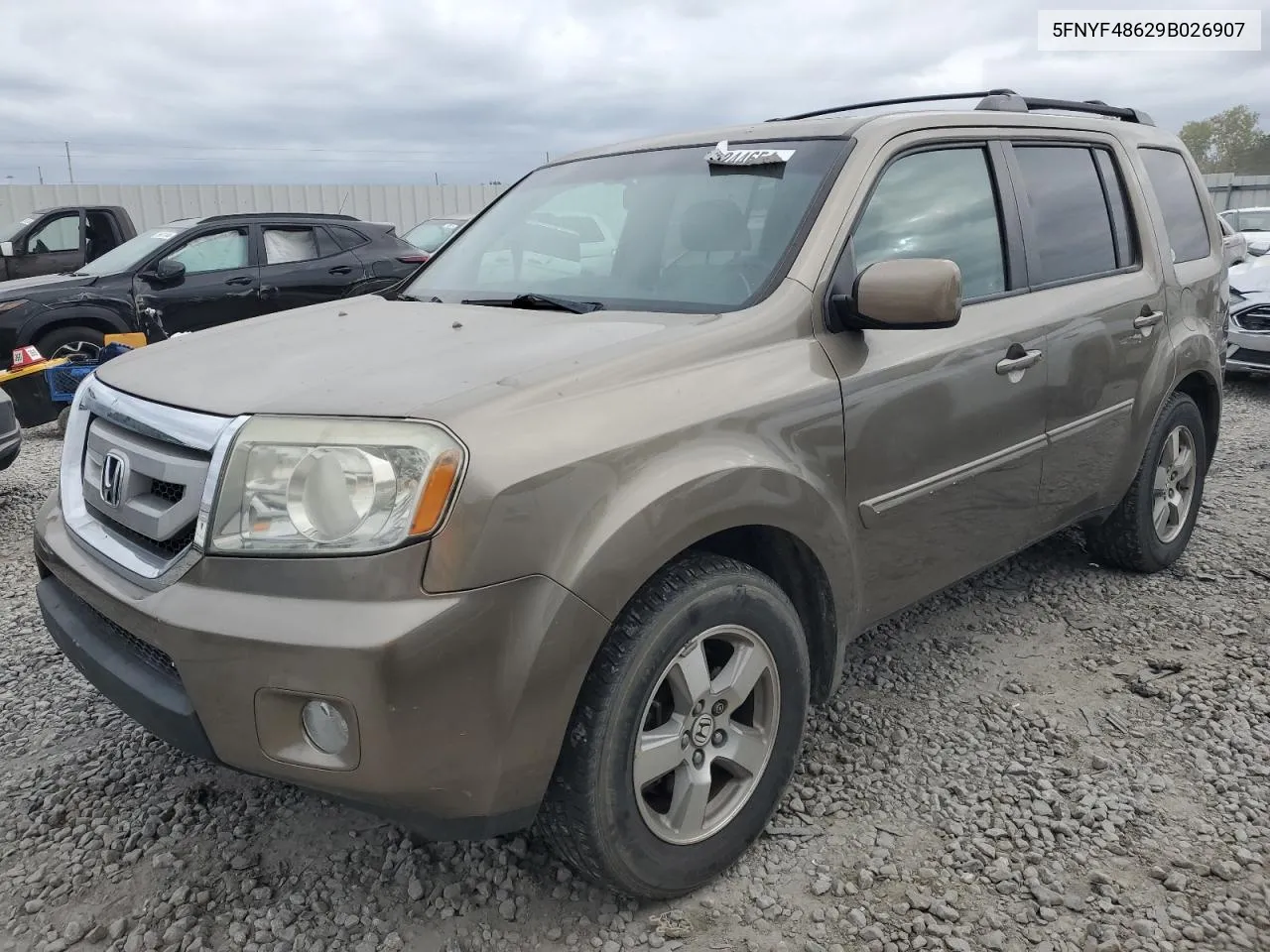 2009 Honda Pilot Exl VIN: 5FNYF48629B026907 Lot: 75244654