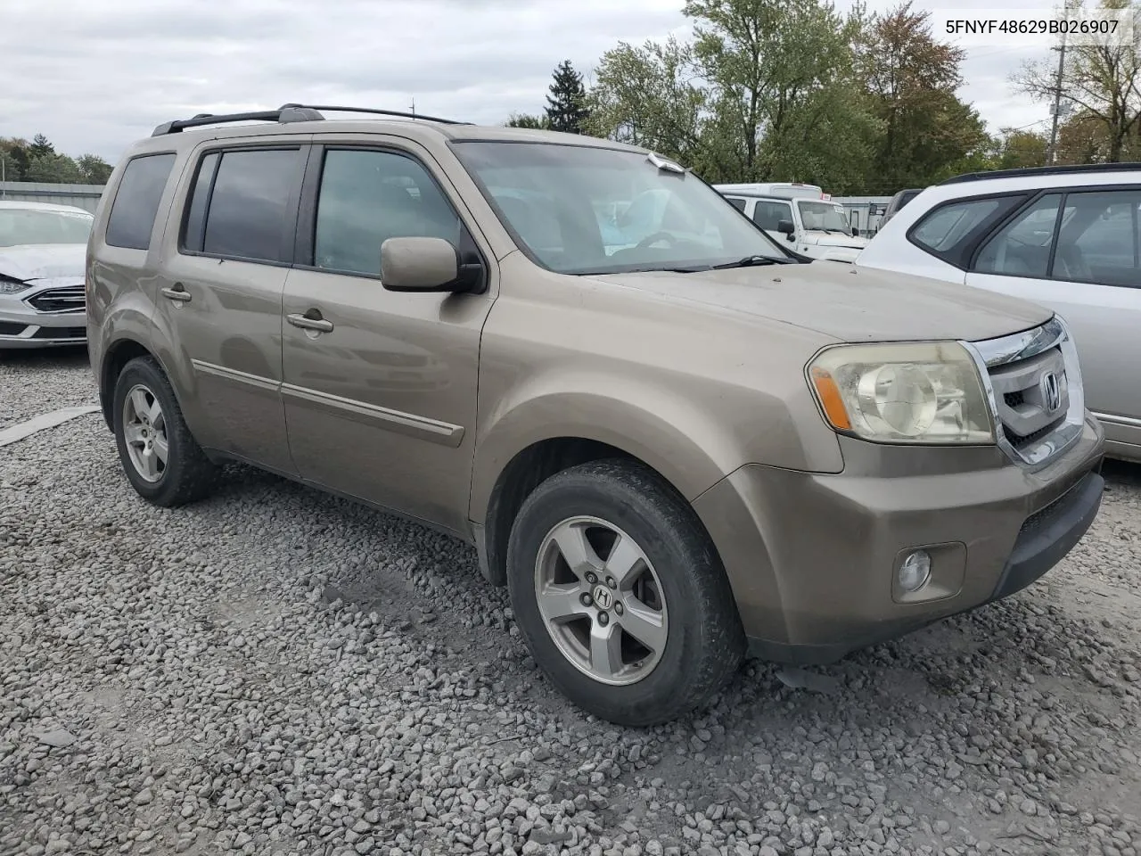 2009 Honda Pilot Exl VIN: 5FNYF48629B026907 Lot: 75244654