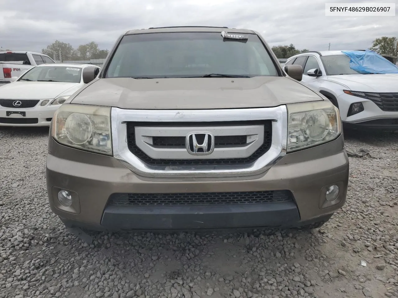 2009 Honda Pilot Exl VIN: 5FNYF48629B026907 Lot: 75244654