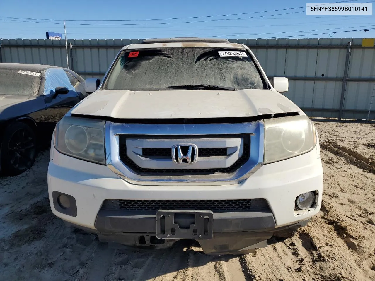 2009 Honda Pilot Exl VIN: 5FNYF38599B010141 Lot: 77025364