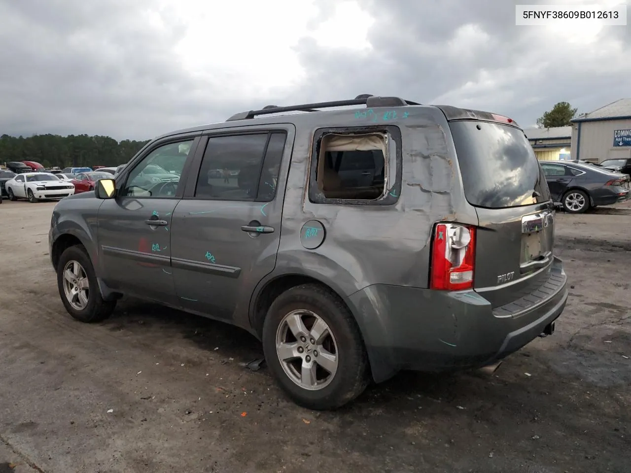 2009 Honda Pilot Exl VIN: 5FNYF38609B012613 Lot: 79812664