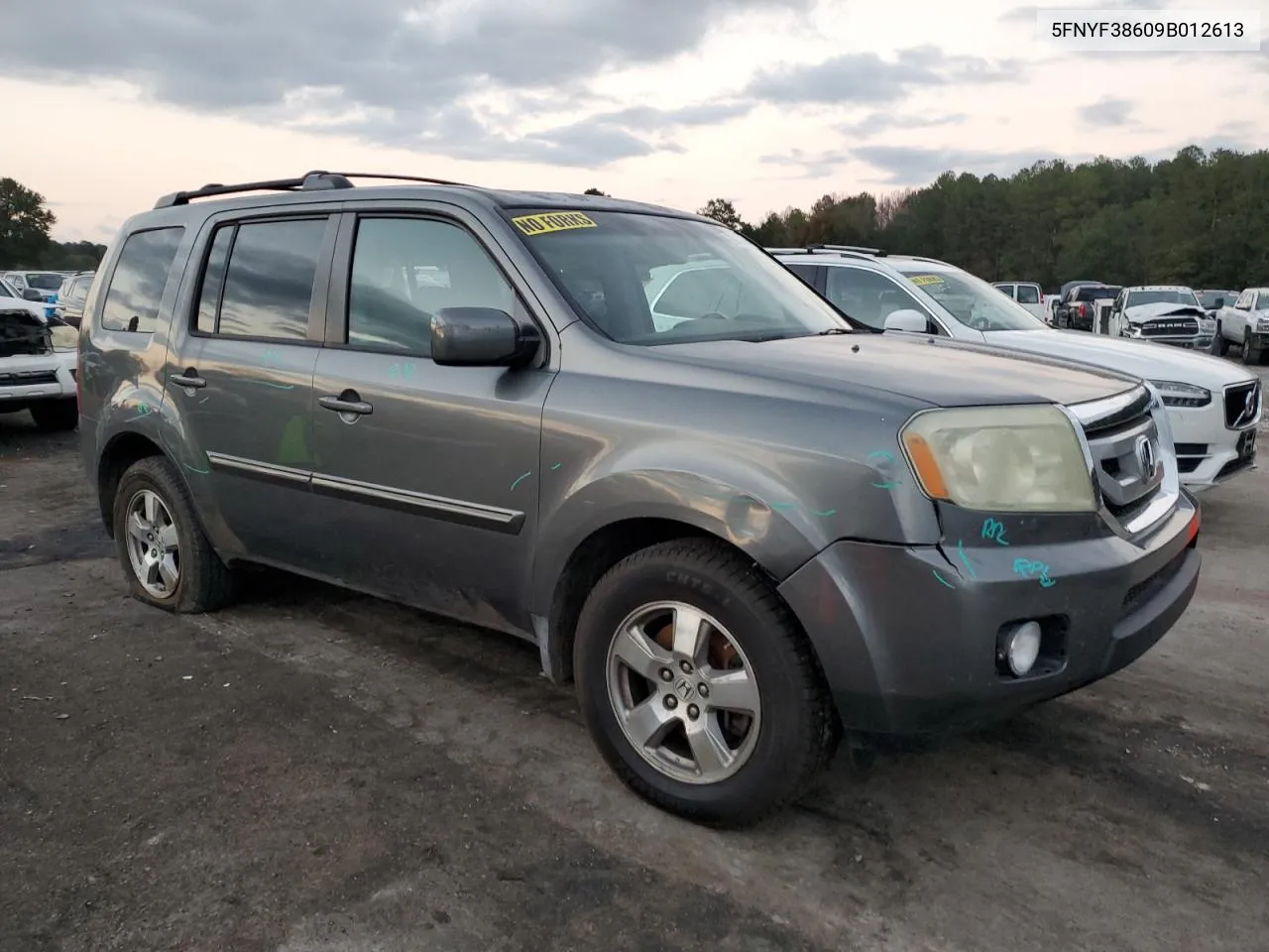 2009 Honda Pilot Exl VIN: 5FNYF38609B012613 Lot: 79812664