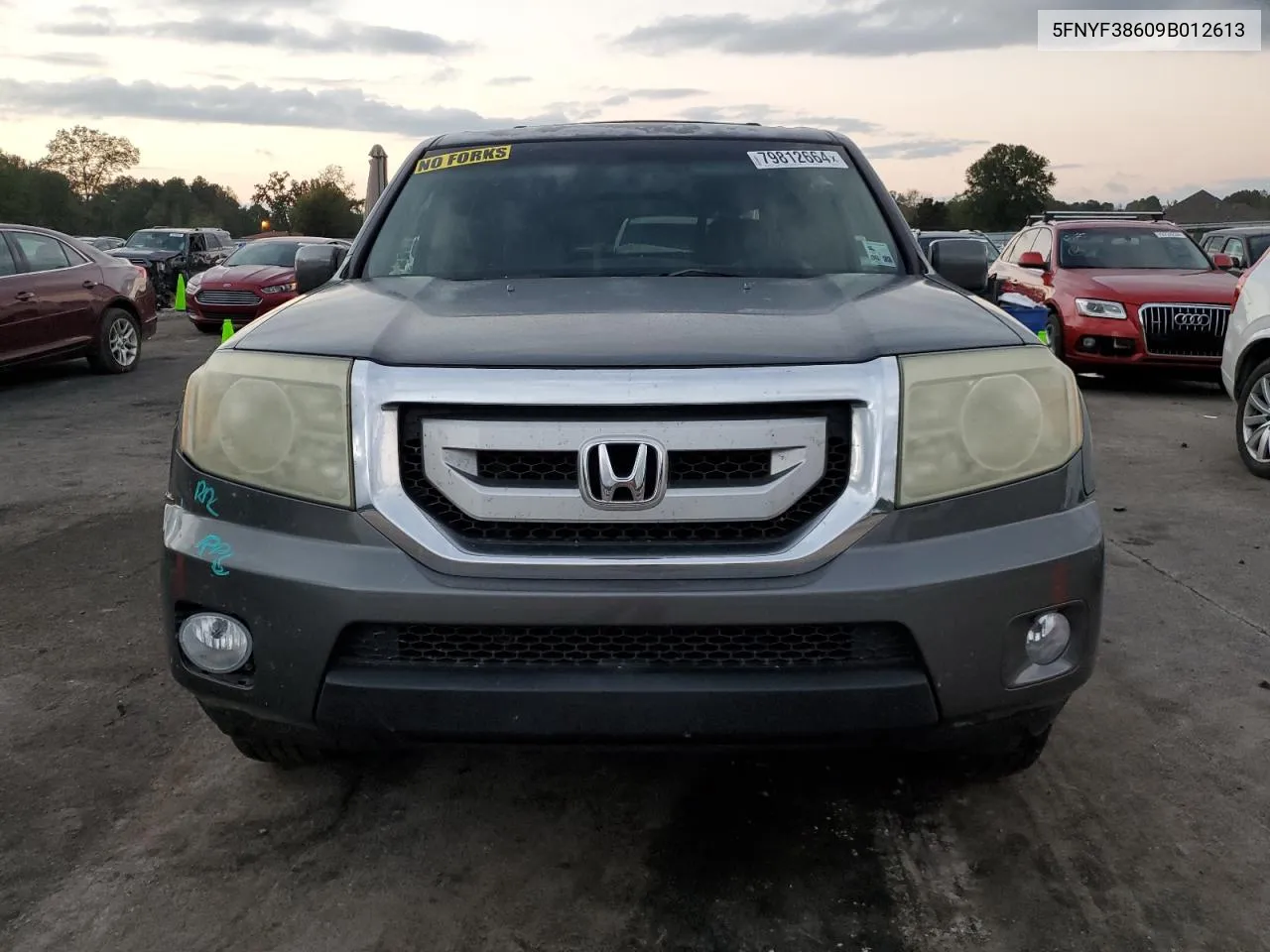 2009 Honda Pilot Exl VIN: 5FNYF38609B012613 Lot: 79812664