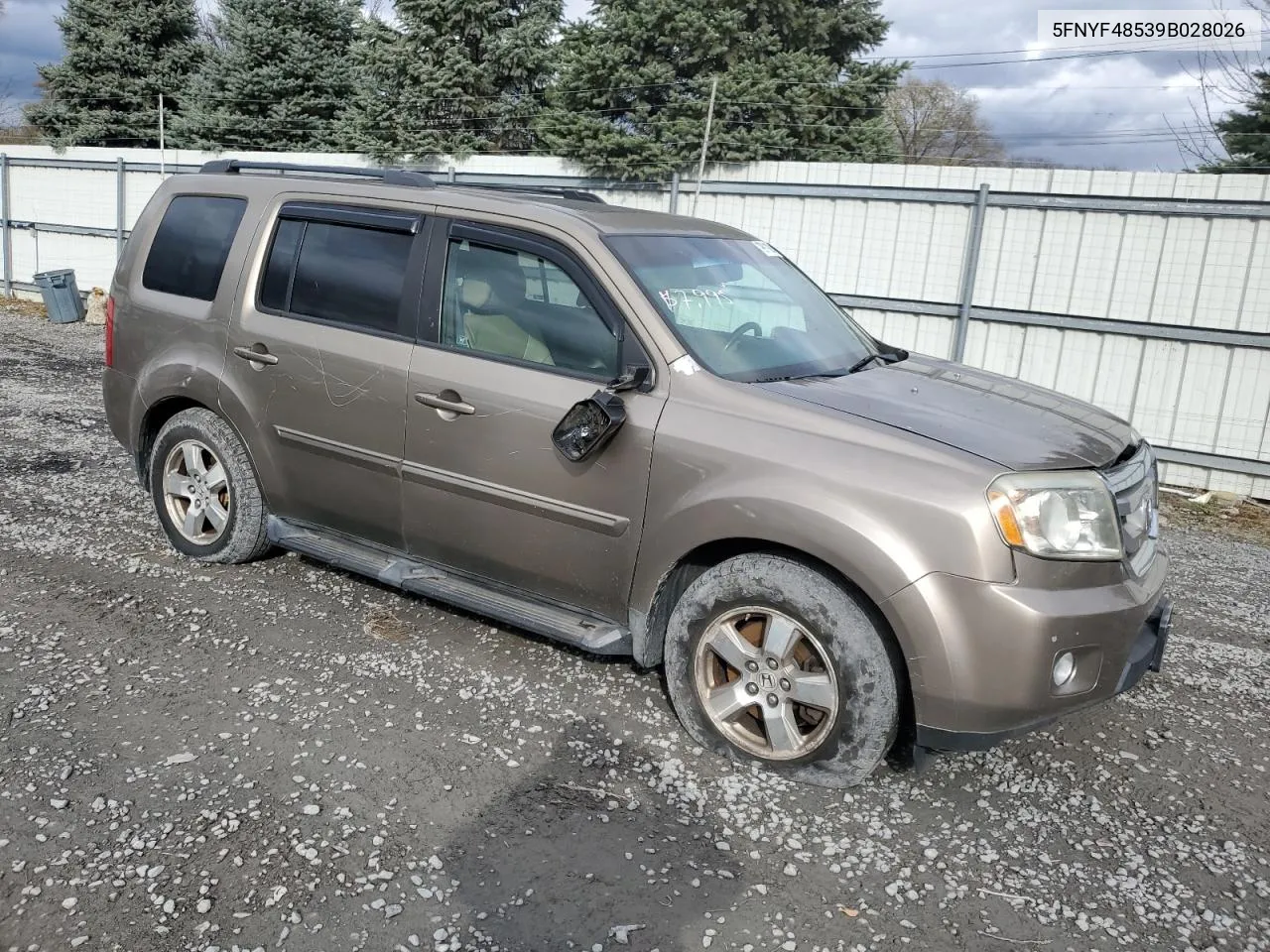 2009 Honda Pilot Exl VIN: 5FNYF48539B028026 Lot: 79911024