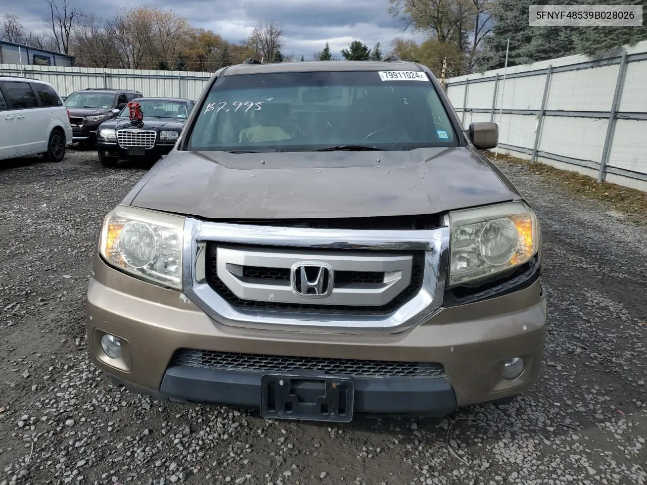 2009 Honda Pilot Exl VIN: 5FNYF48539B028026 Lot: 79911024