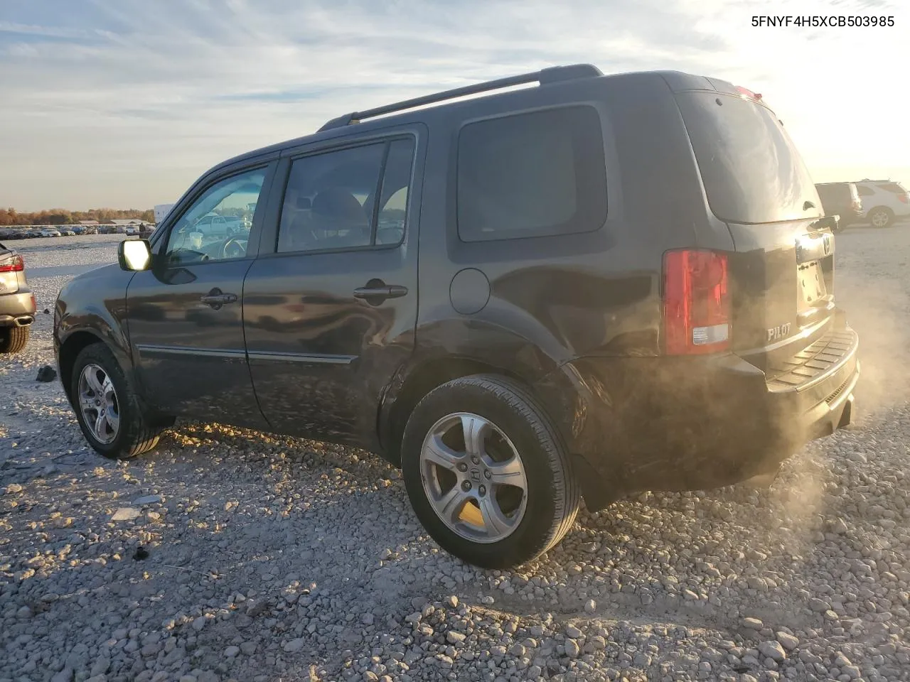 2012 Honda Pilot Exl VIN: 5FNYF4H5XCB503985 Lot: 77165064