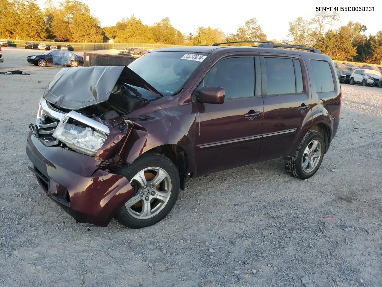 2013 Honda Pilot Exl VIN: 5FNYF4H55DB068231 Lot: 75037804