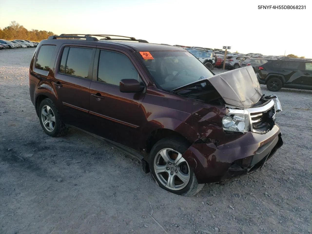 2013 Honda Pilot Exl VIN: 5FNYF4H55DB068231 Lot: 75037804