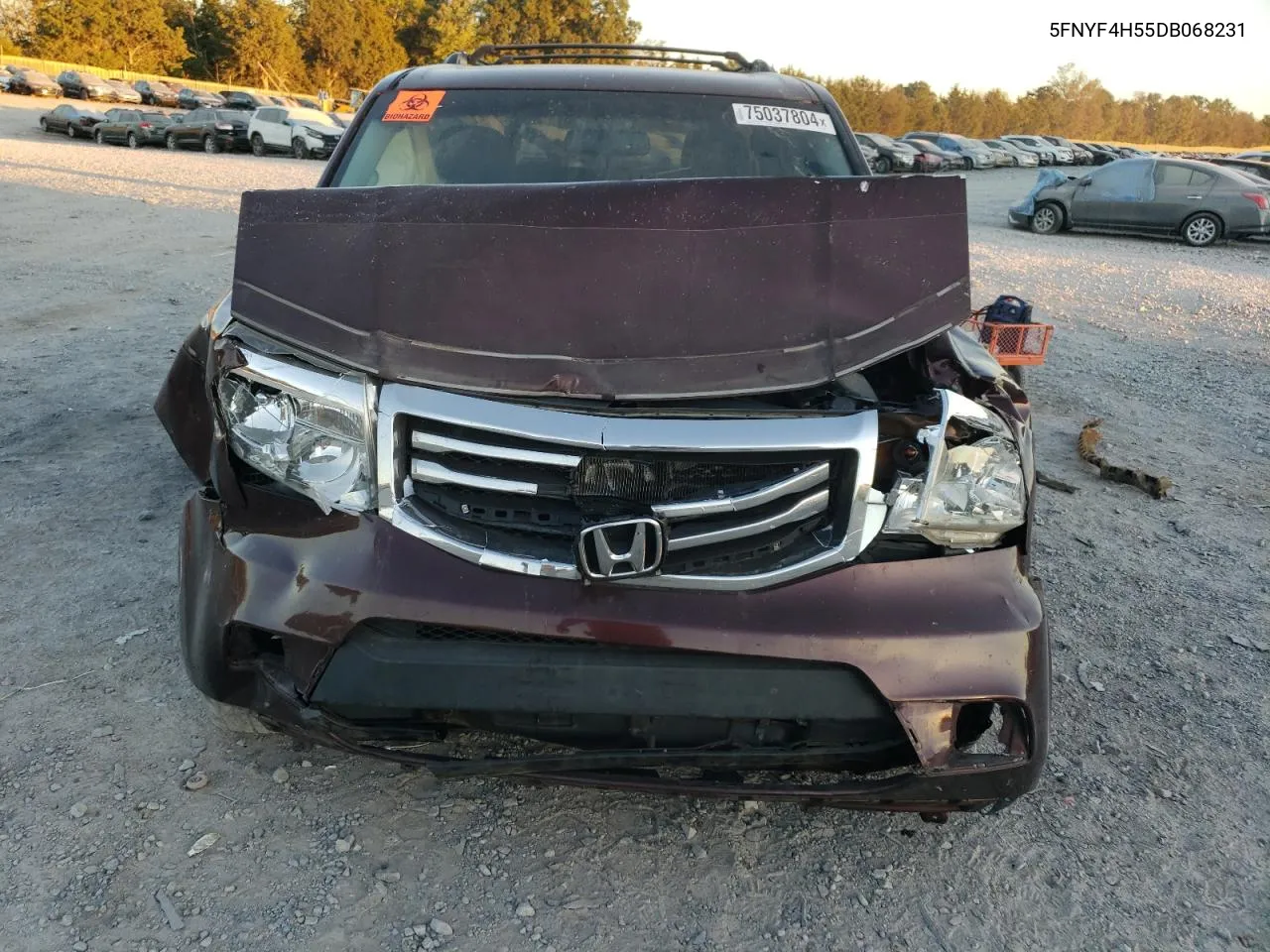 5FNYF4H55DB068231 2013 Honda Pilot Exl