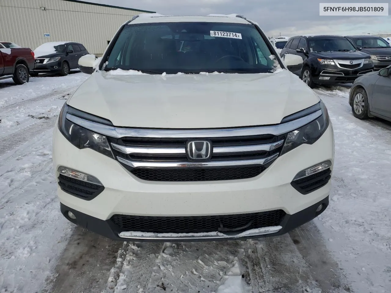 2018 Honda Pilot Touring VIN: 5FNYF6H98JB501809 Lot: 81123714