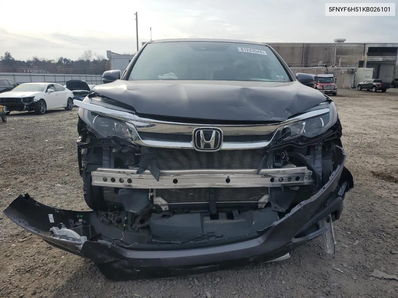 2019 Honda Pilot Exl VIN: 5FNYF6H51KB026101 Lot: 81243544