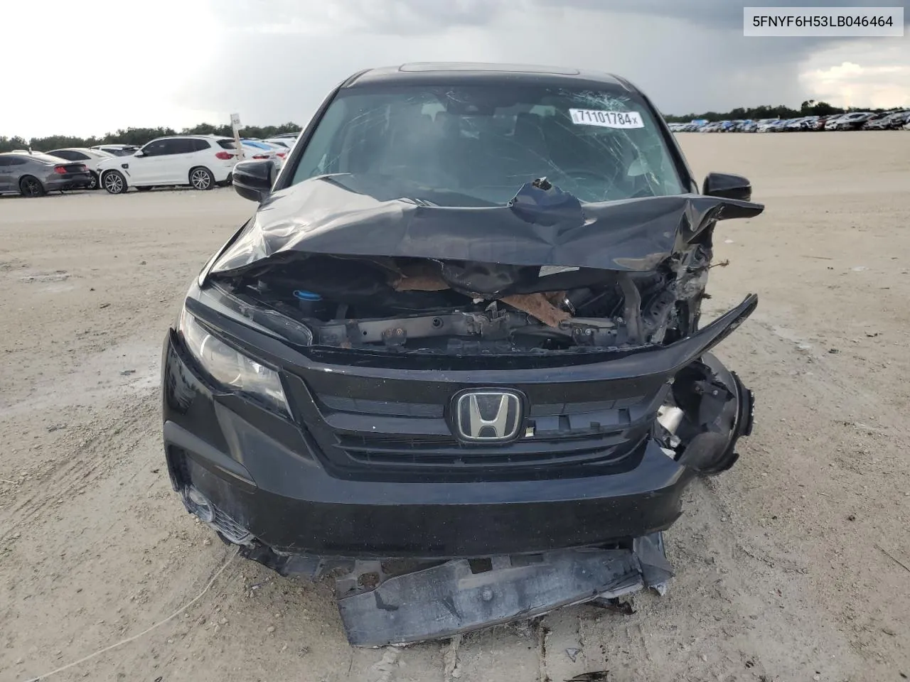 2020 Honda Pilot Exl VIN: 5FNYF6H53LB046464 Lot: 71101784