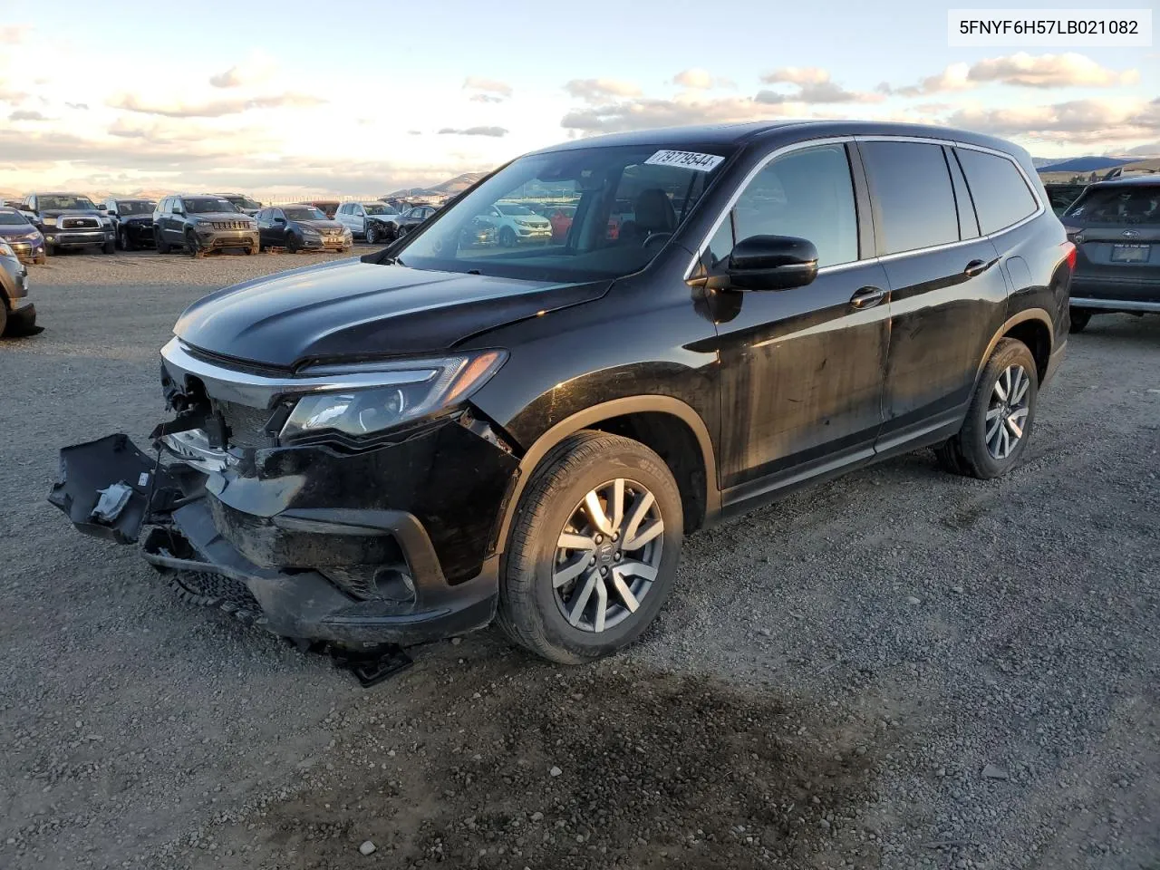 2020 Honda Pilot Exl VIN: 5FNYF6H57LB021082 Lot: 79779544