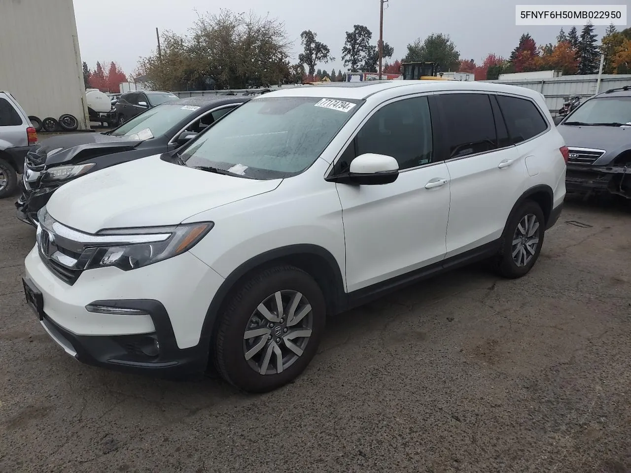 2021 Honda Pilot Exl VIN: 5FNYF6H50MB022950 Lot: 77174794