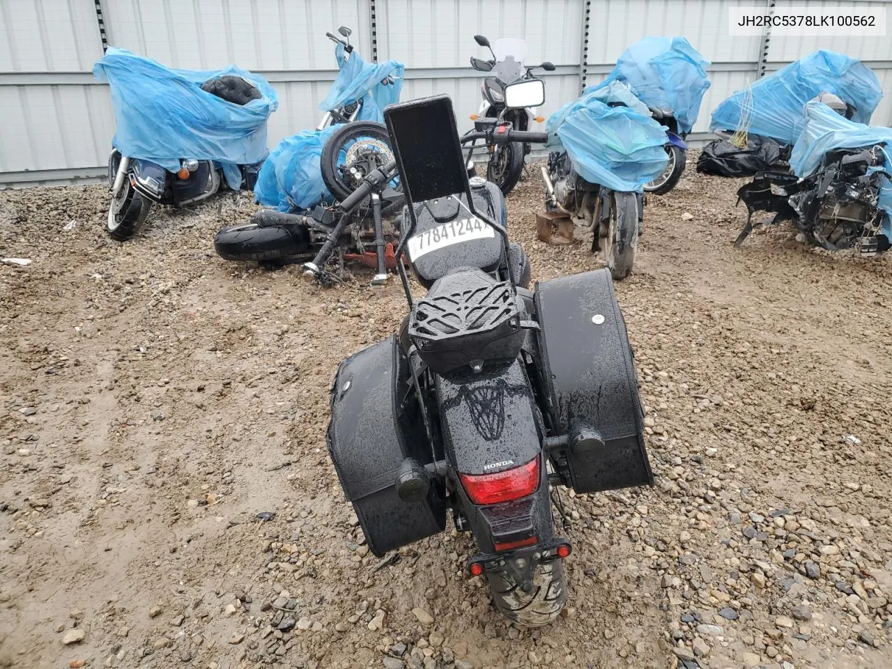 2020 Honda Vt750 C2B VIN: JH2RC5378LK100562 Lot: 77841244