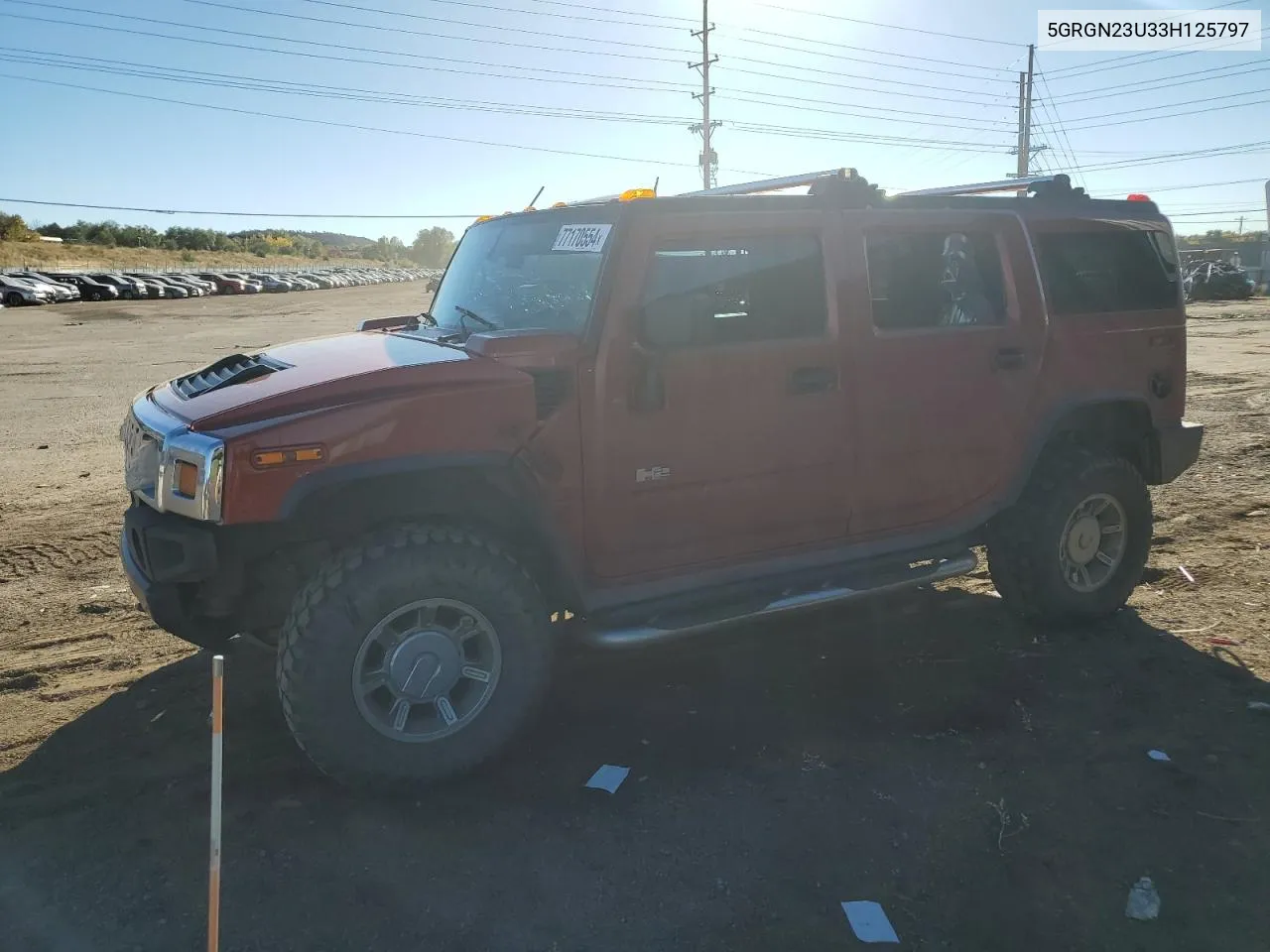 2003 Hummer H2 VIN: 5GRGN23U33H125797 Lot: 77170554