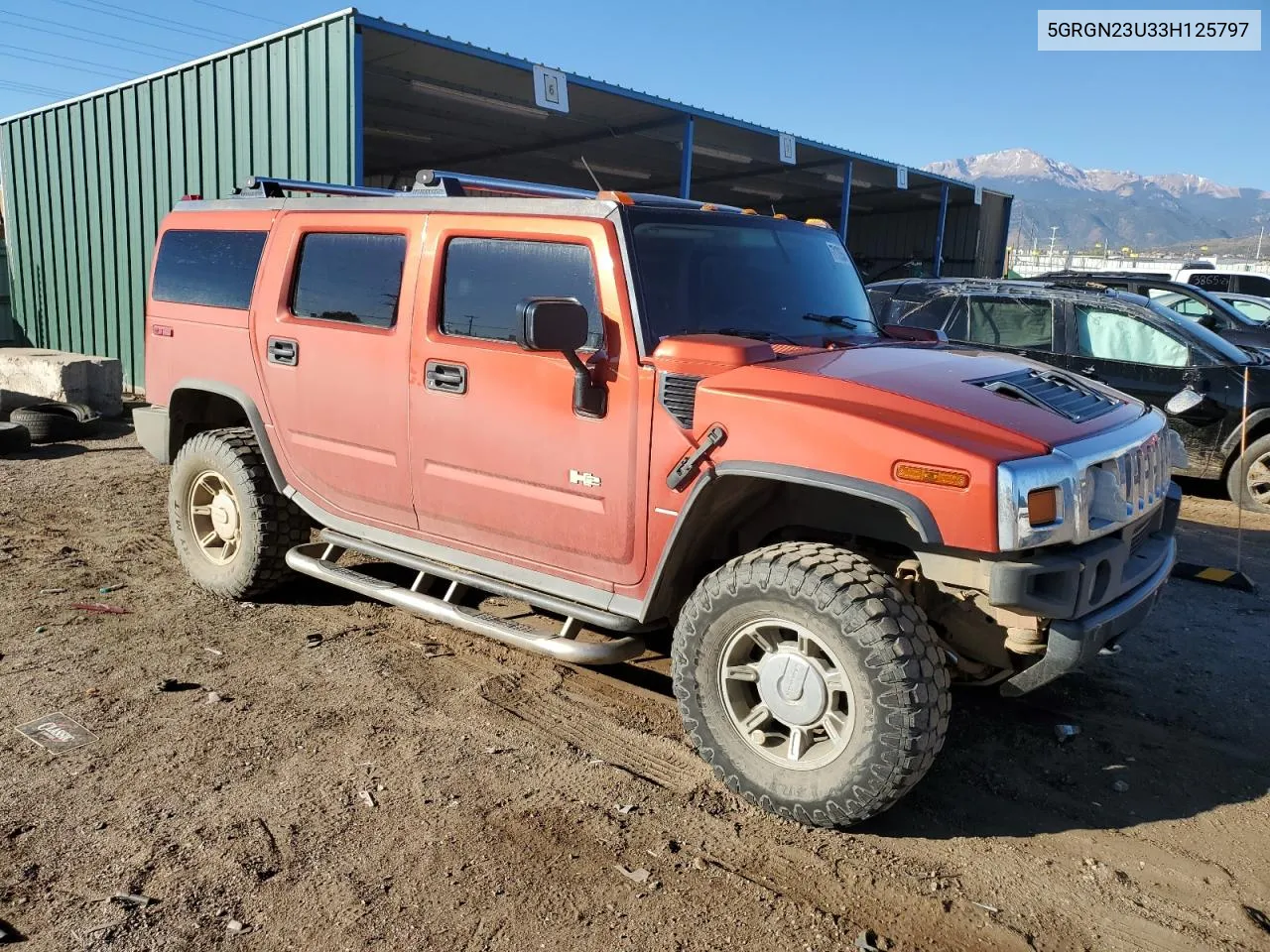 2003 Hummer H2 VIN: 5GRGN23U33H125797 Lot: 77170554