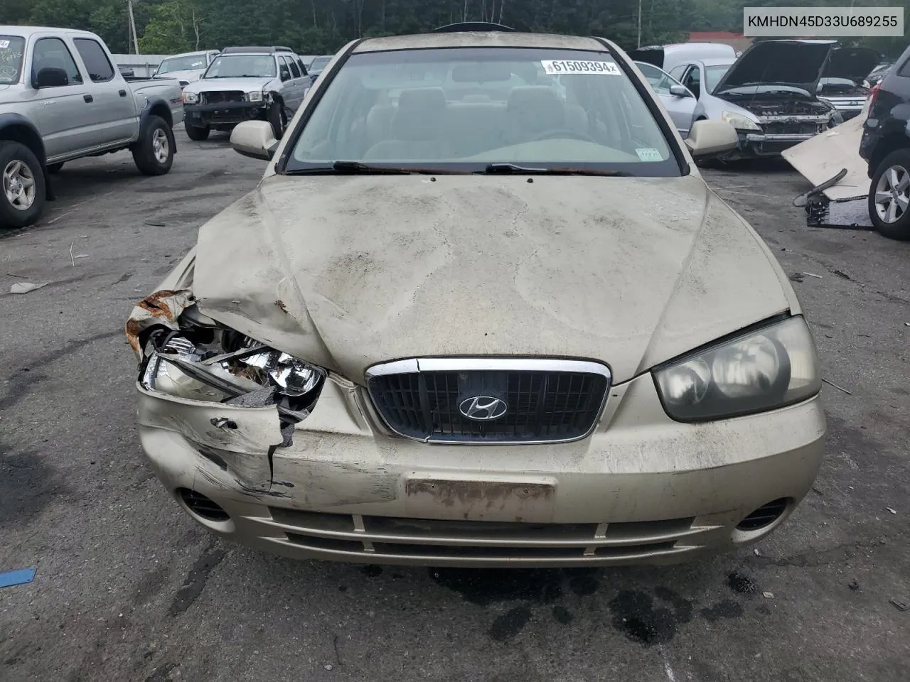 2003 Hyundai Elantra Gls VIN: KMHDN45D33U689255 Lot: 81308734