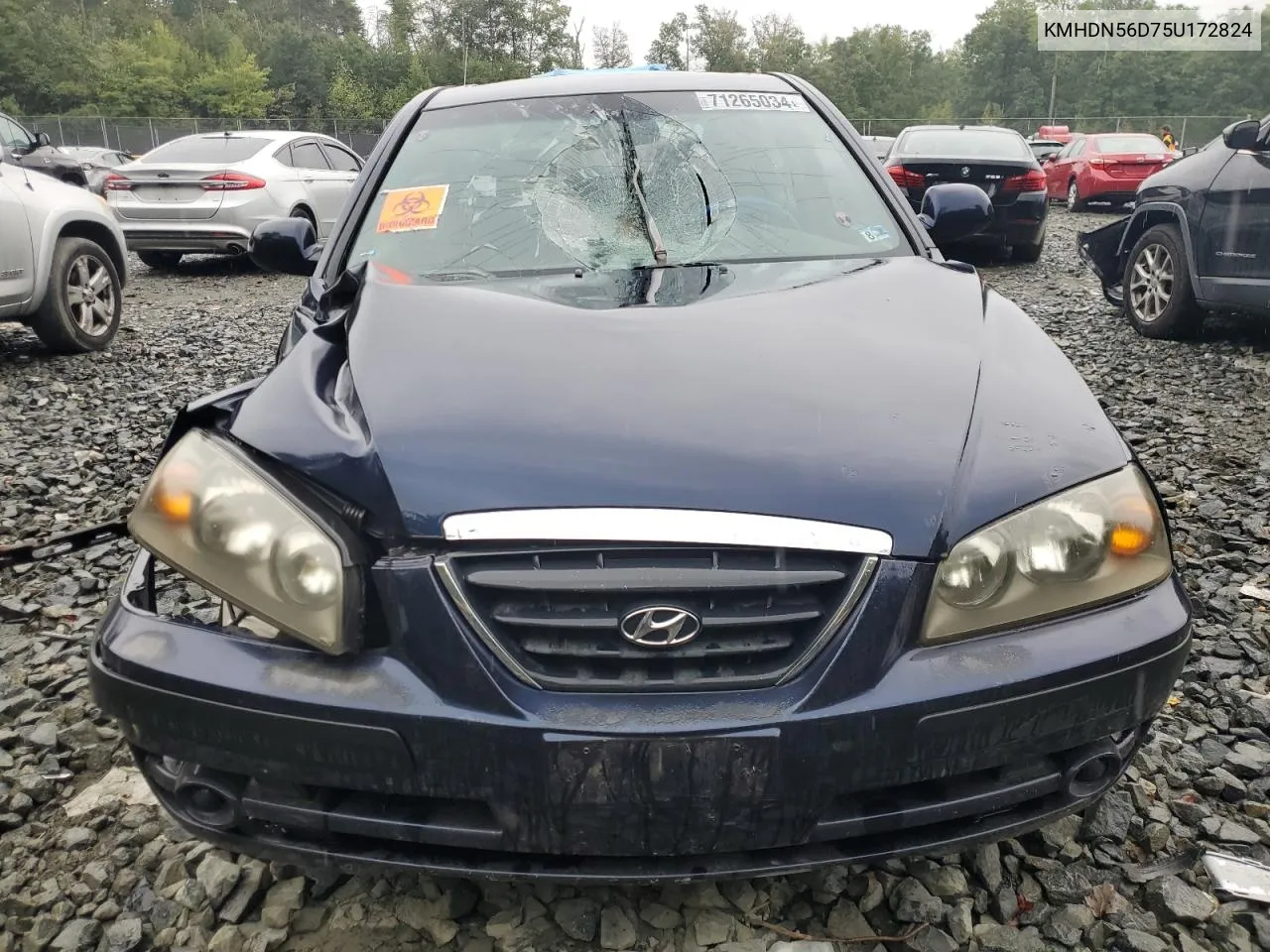 KMHDN56D75U172824 2005 Hyundai Elantra Gls