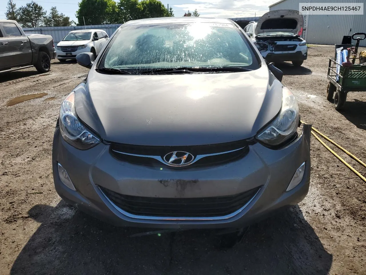 2012 Hyundai Elantra Gls VIN: 5NPDH4AE9CH125467 Lot: 56747984