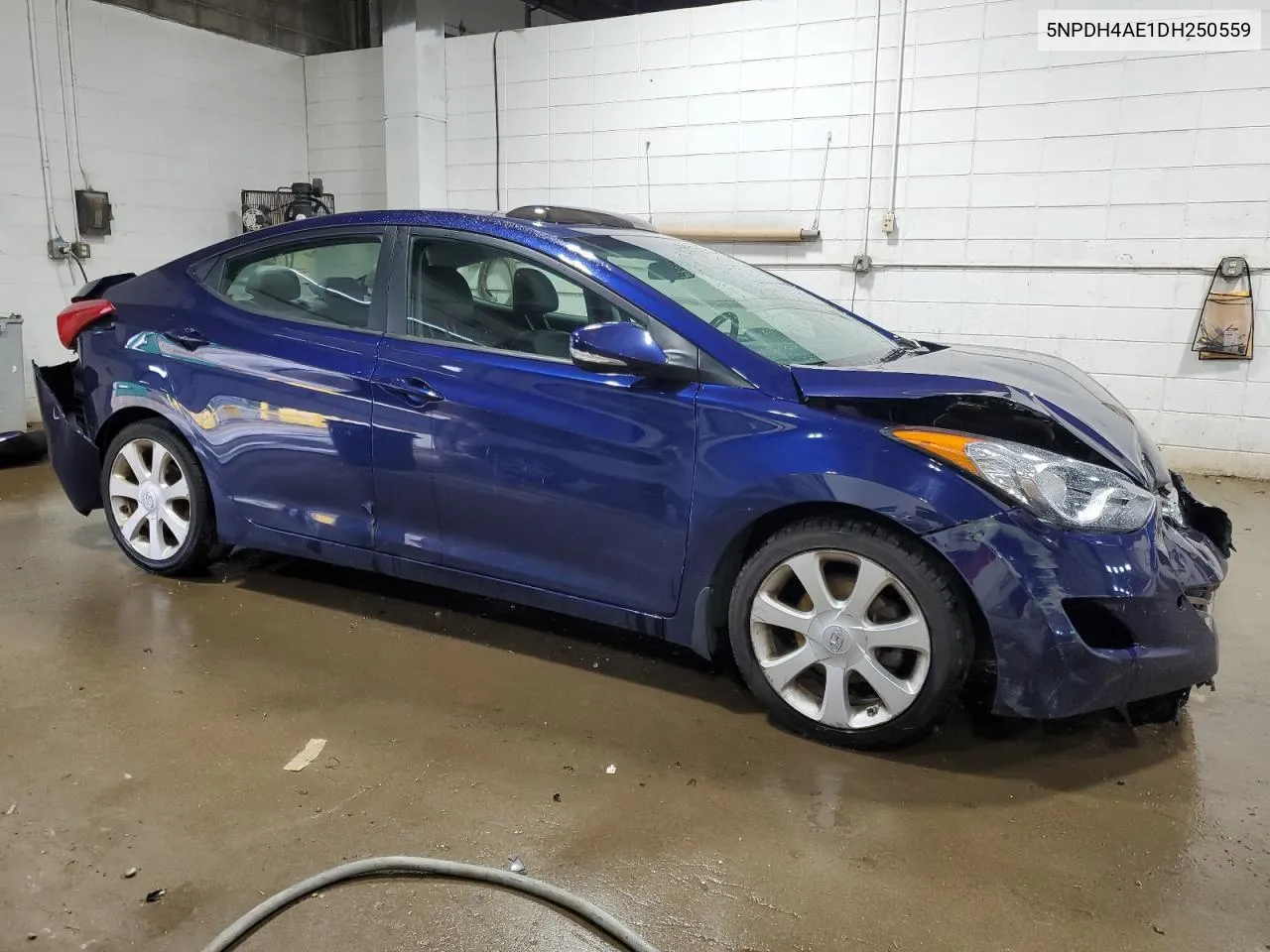 2013 Hyundai Elantra Gls VIN: 5NPDH4AE1DH250559 Lot: 69163714