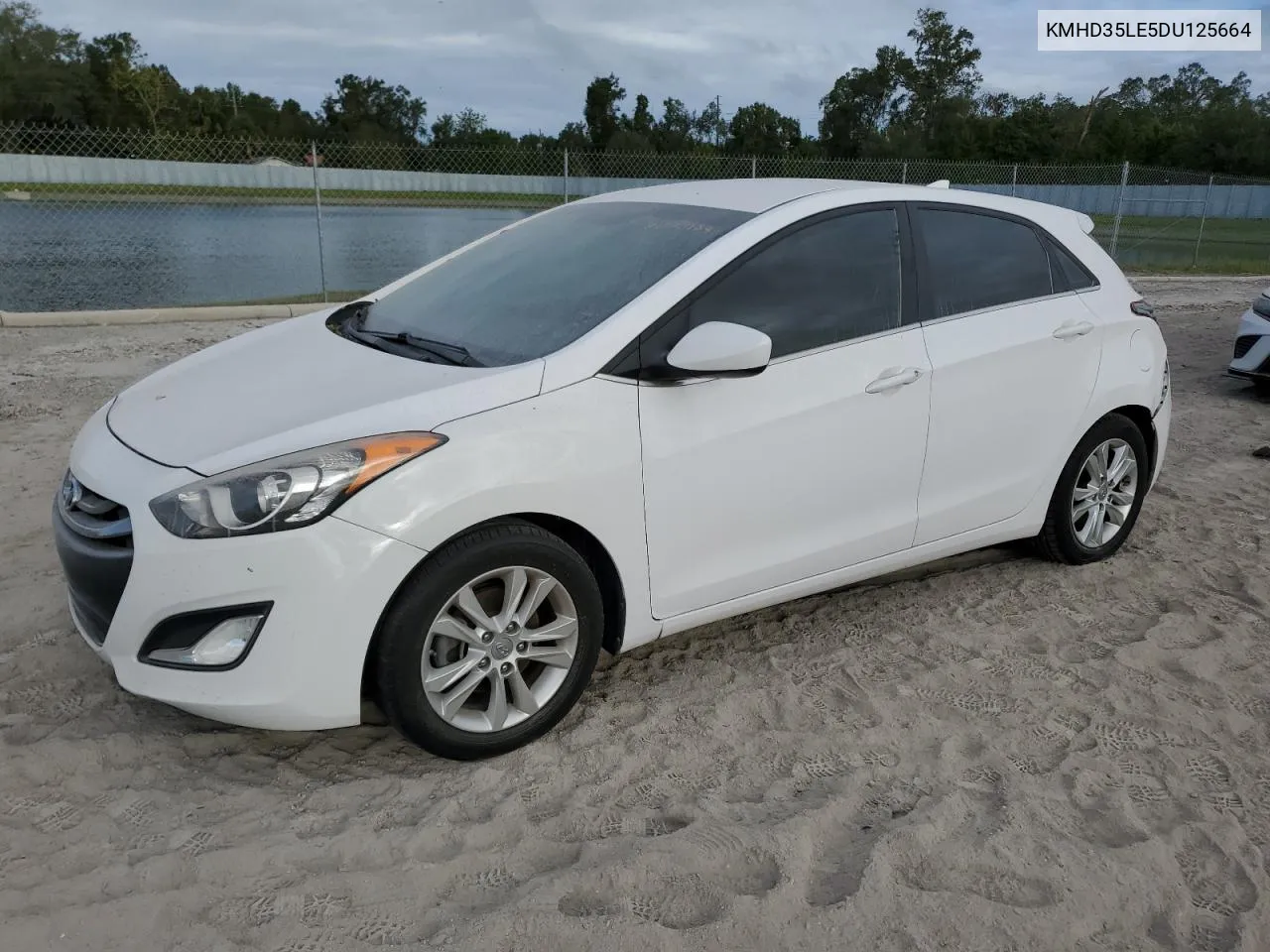 2013 Hyundai Elantra Gt VIN: KMHD35LE5DU125664 Lot: 76659154