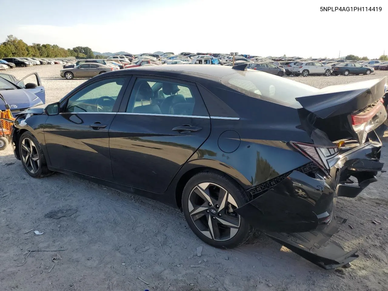 5NPLP4AG1PH114419 2023 Hyundai Elantra Limited