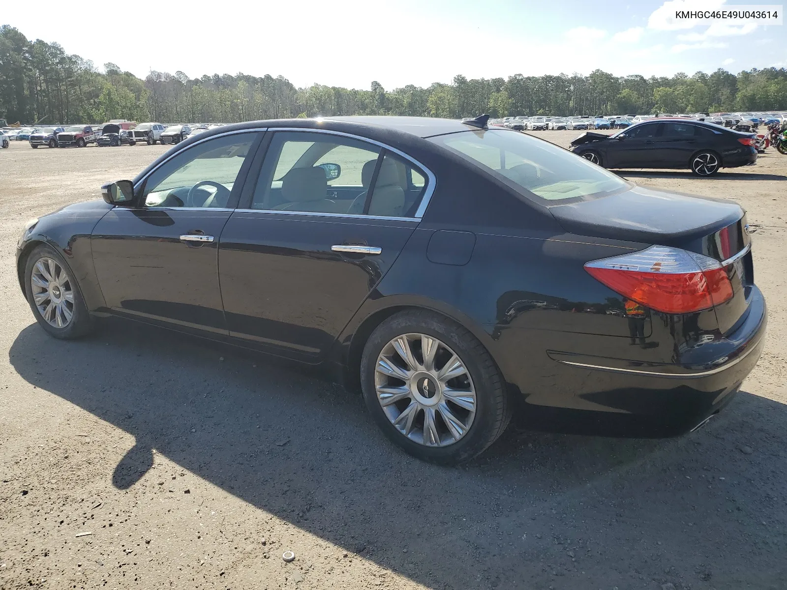 2009 Hyundai Genesis 3.8L VIN: KMHGC46E49U043614 Lot: 59674594