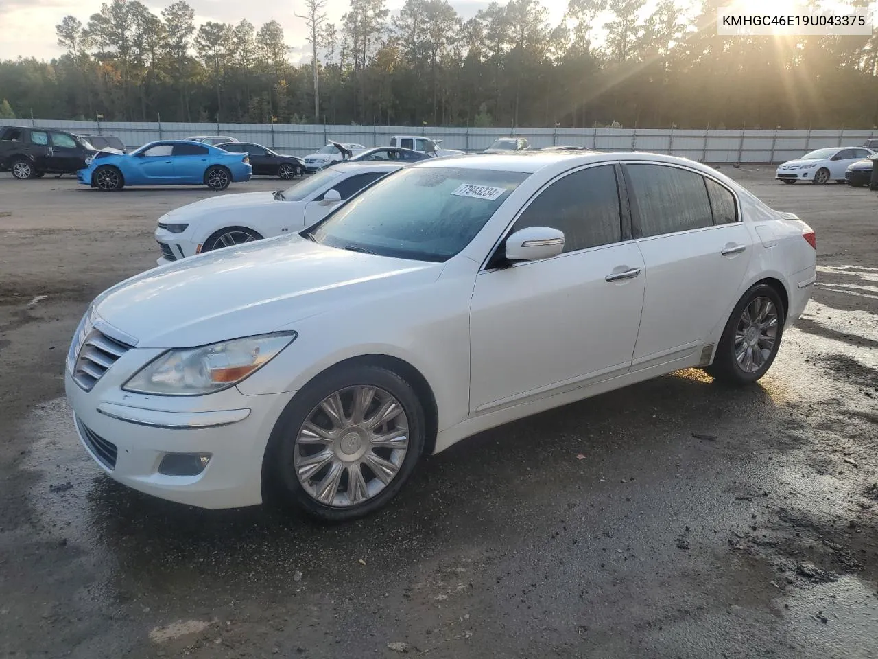 2009 Hyundai Genesis 3.8L VIN: KMHGC46E19U043375 Lot: 77943234