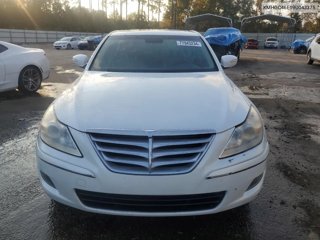 2009 Hyundai Genesis 3.8L VIN: KMHGC46E19U043375 Lot: 77943234