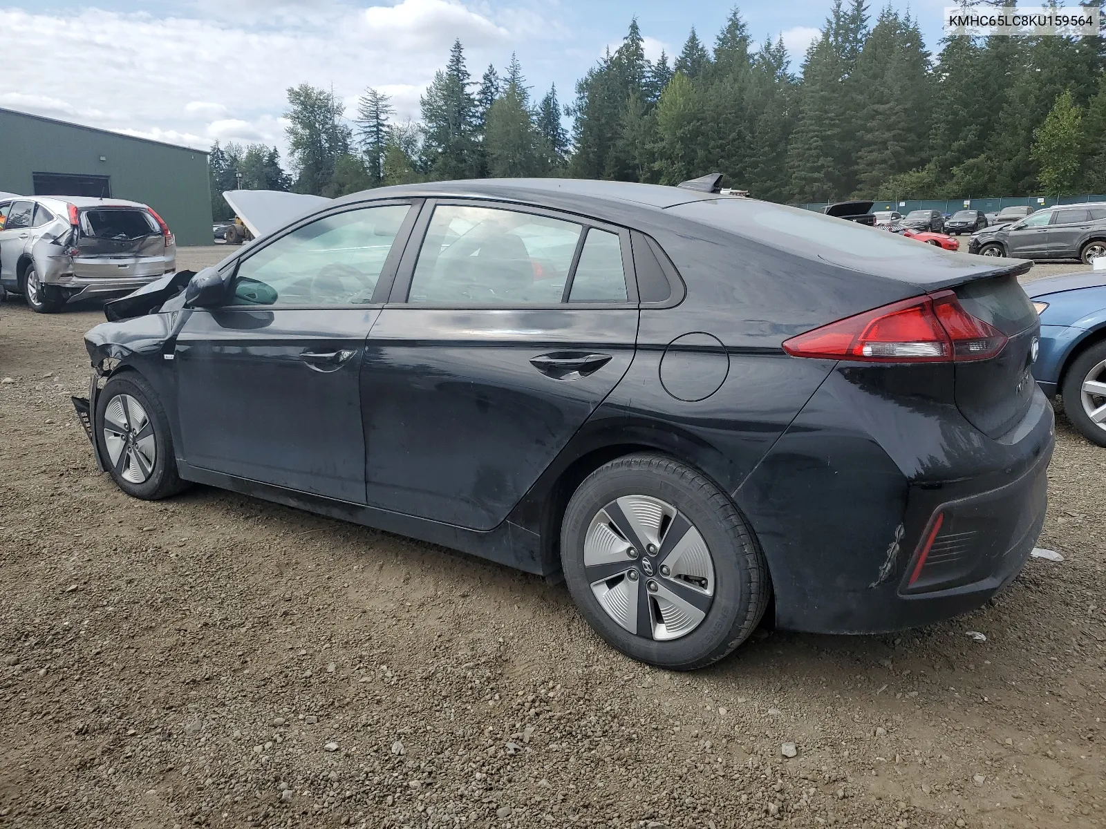 2019 Hyundai Ioniq Blue VIN: KMHC65LC8KU159564 Lot: 67005244