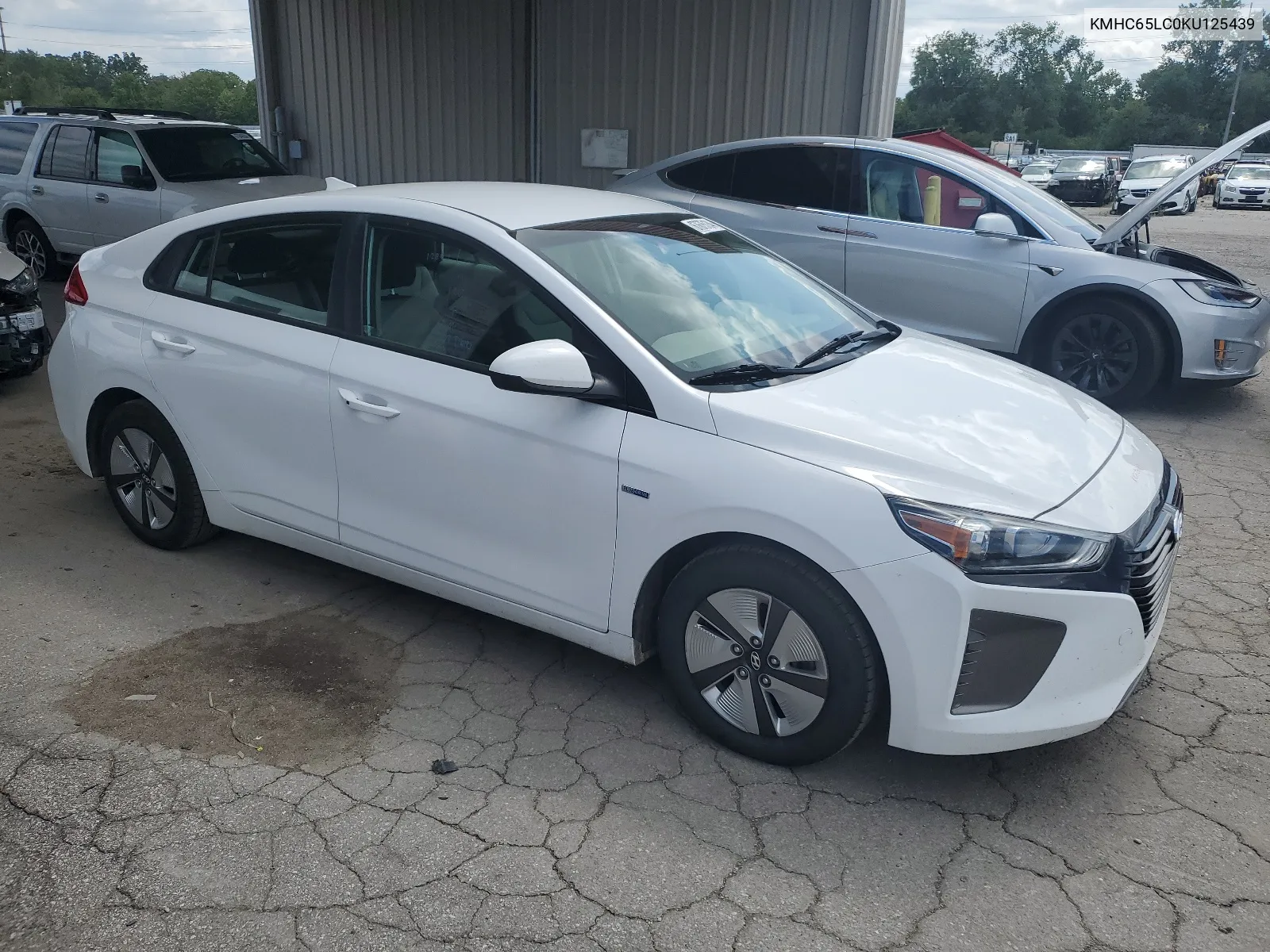 2019 Hyundai Ioniq Blue VIN: KMHC65LC0KU125439 Lot: 67675134