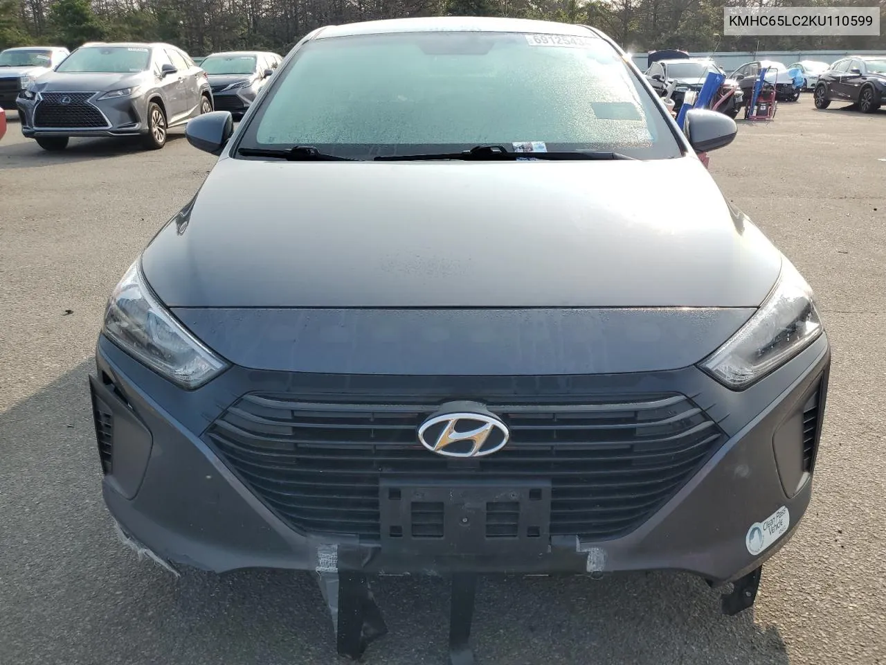 2019 Hyundai Ioniq Blue VIN: KMHC65LC2KU110599 Lot: 69125434