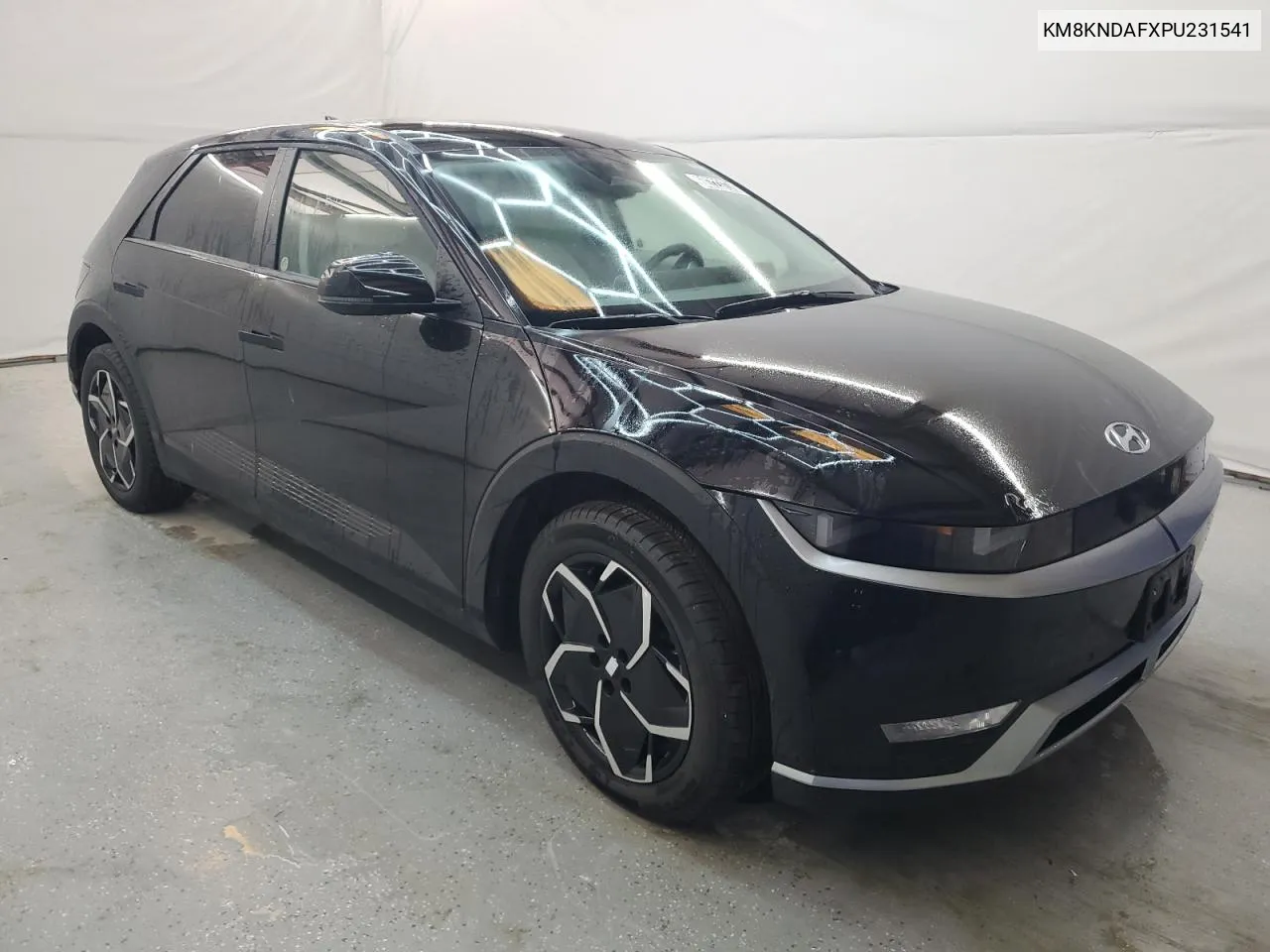 KM8KNDAFXPU231541 2023 Hyundai Ioniq 5 Sel