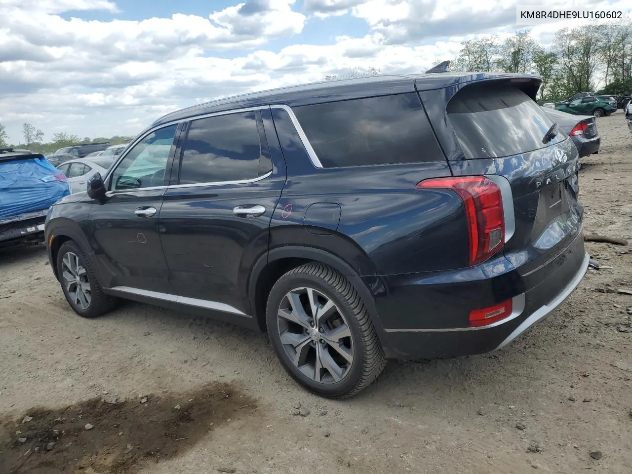 2020 Hyundai Palisade Sel VIN: KM8R4DHE9LU160602 Lot: 52412204