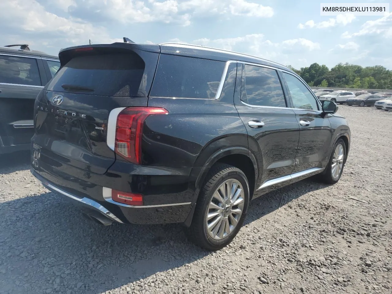 2020 Hyundai Palisade Limited VIN: KM8R5DHEXLU113981 Lot: 59134414