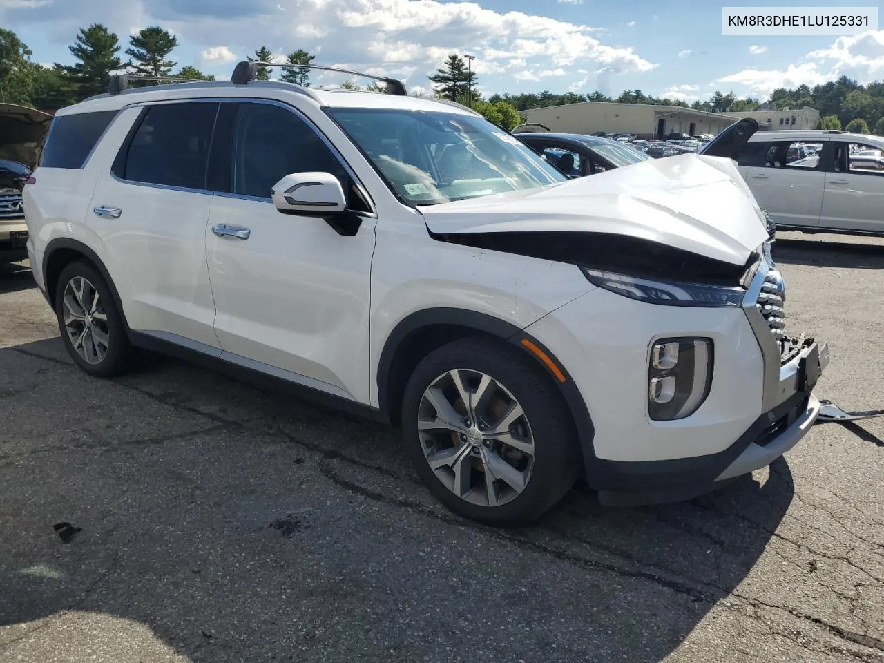 2020 Hyundai Palisade Sel VIN: KM8R3DHE1LU125331 Lot: 61406234